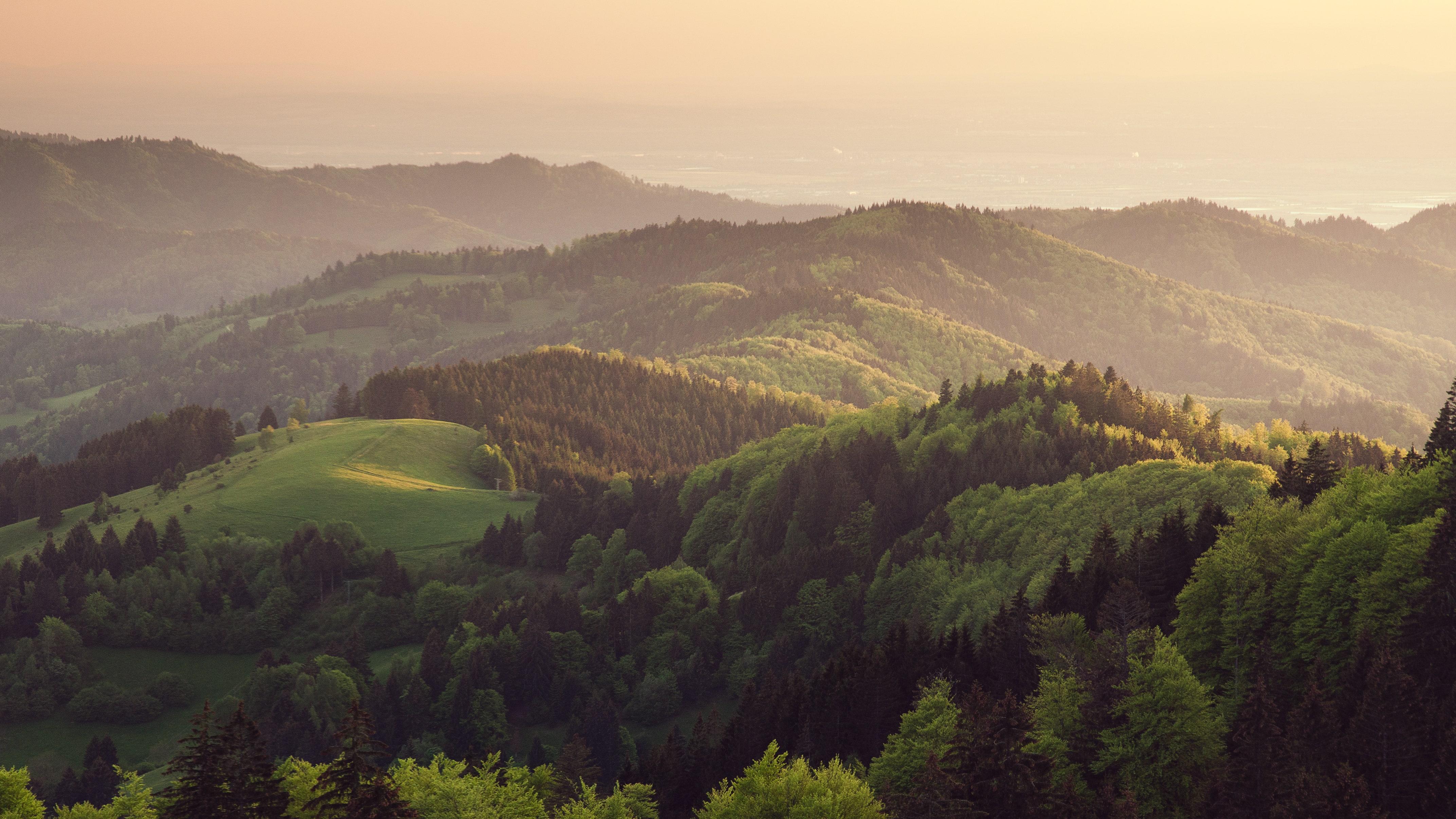 4288x2412 The Most Beautiful Forests in the World. Condé Nast Traveler