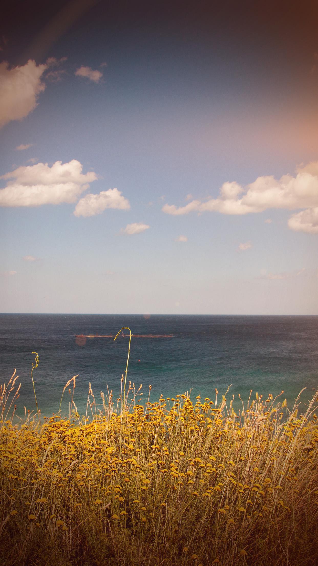 1242x2208 iPhone X wallpaper. sea cloud flower nature old nostalgia vignette