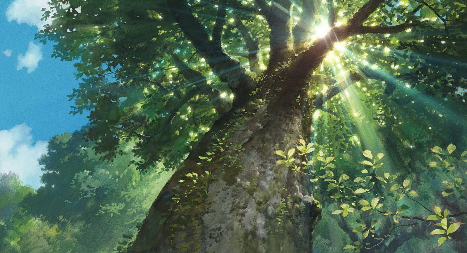 1600x866 Studio Ghibli Background