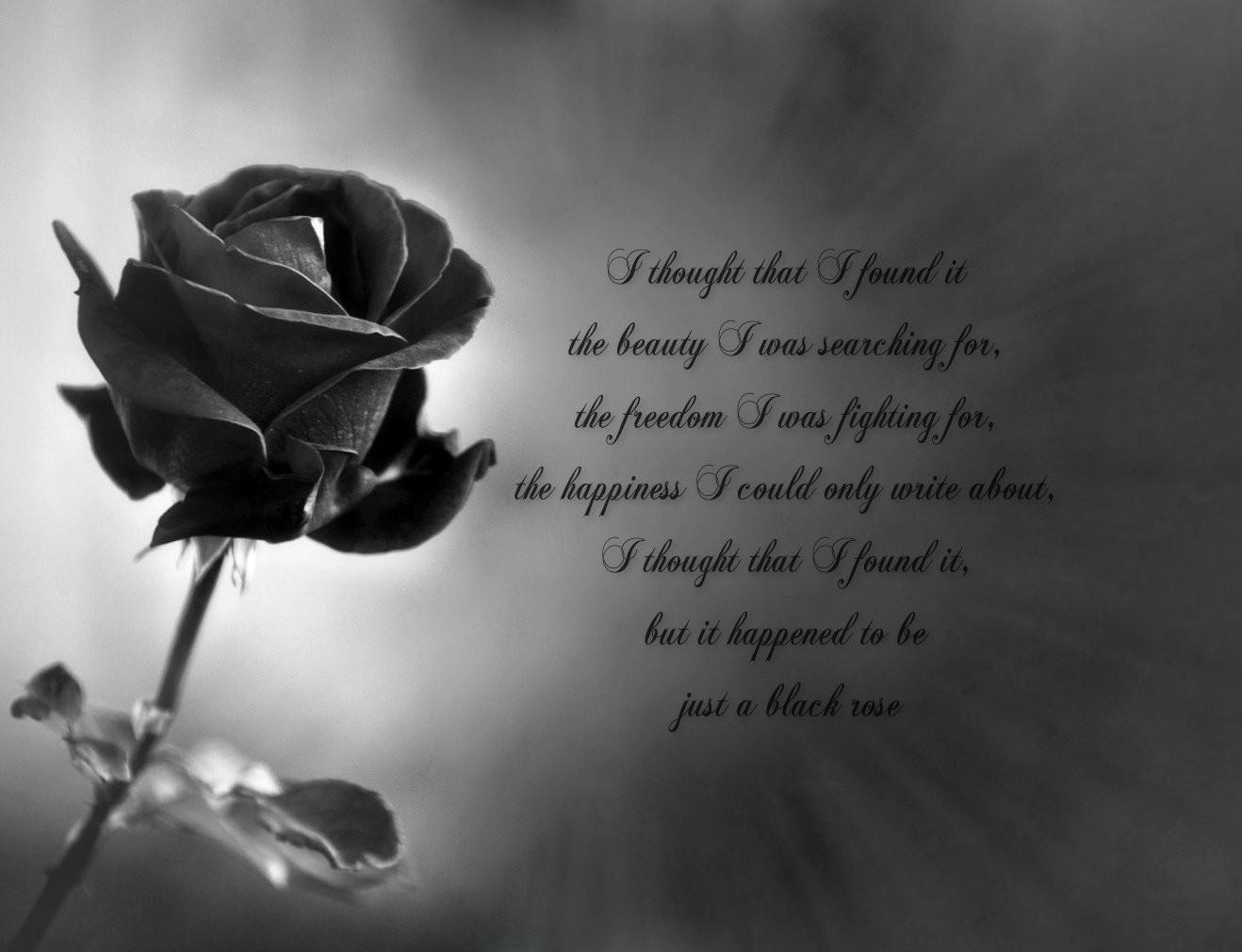 1318x1010 Aesthetic Black Roses Wallpaper