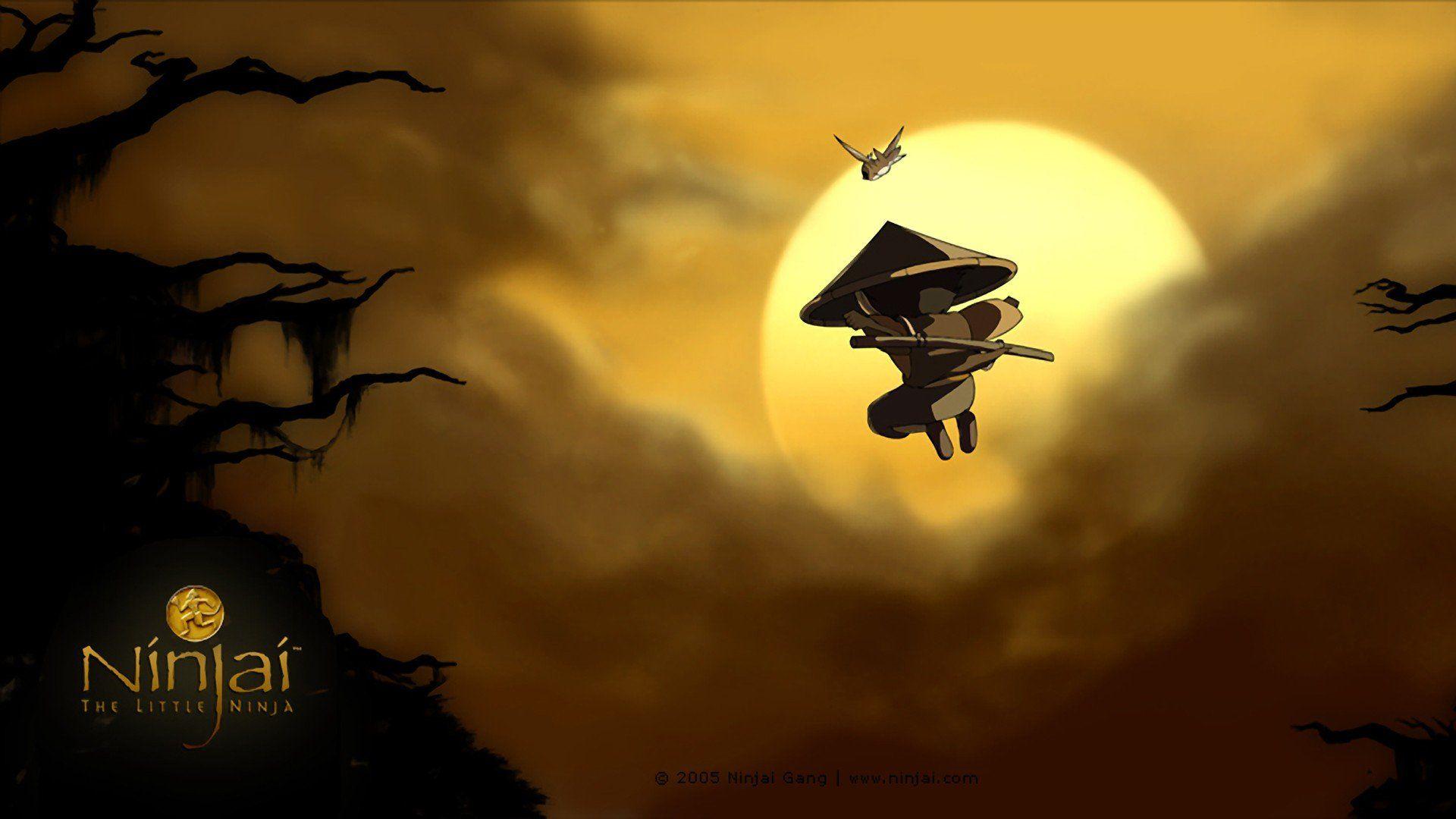 Shadow Ninja Wallpapers - Top Free Shadow Ninja Backgrounds