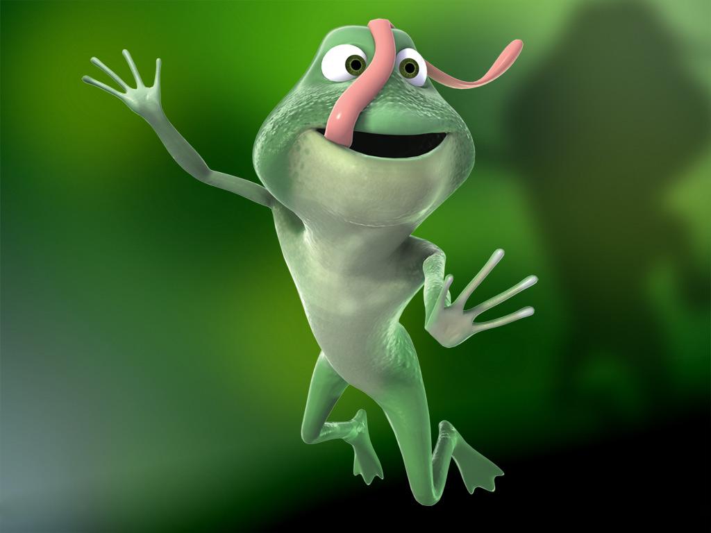 1024x768 Funny Stupid Wallpaper