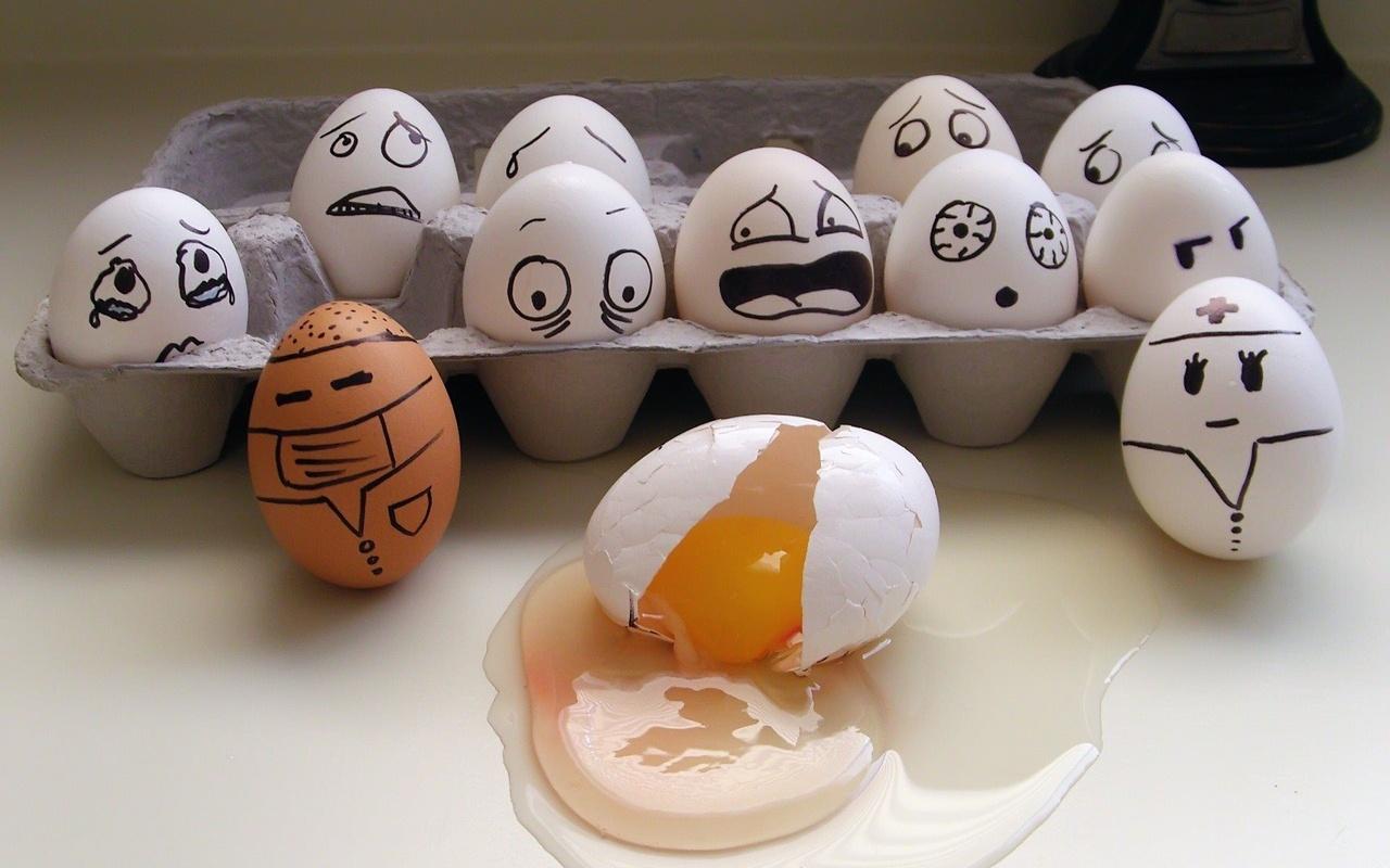1280x800 1280x800 funny desktop wallpaper