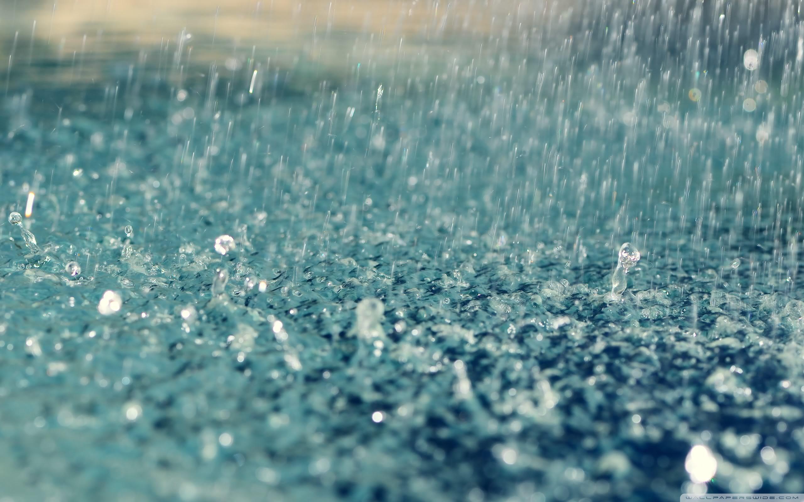 2560x1600 Heavy Rain Ultra HD Desktop Background Wallpaper for 4K UHD TV : Tablet