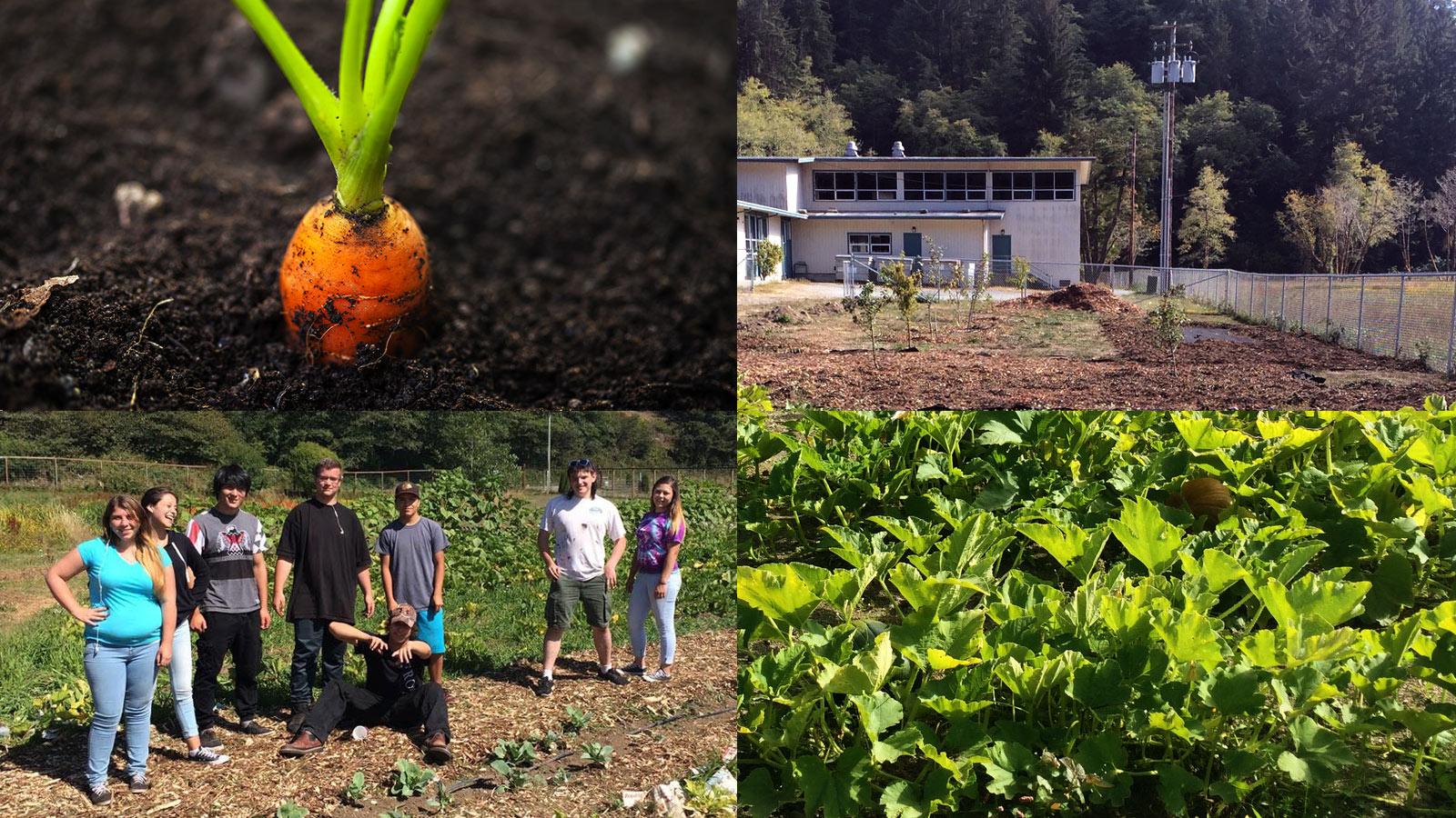 1600x900 Many Native Americans lack access to healthy food, but there's a growing movement to change that