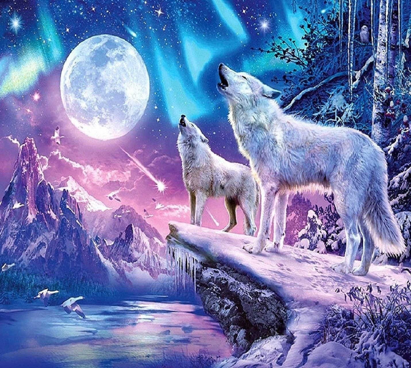 1430x1280 Wallpaper Wolf