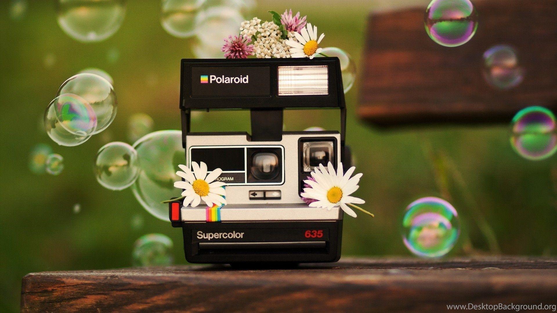 1920x1080 Flowers On Polaroid Camera Wallpaper And Image Wallpaper