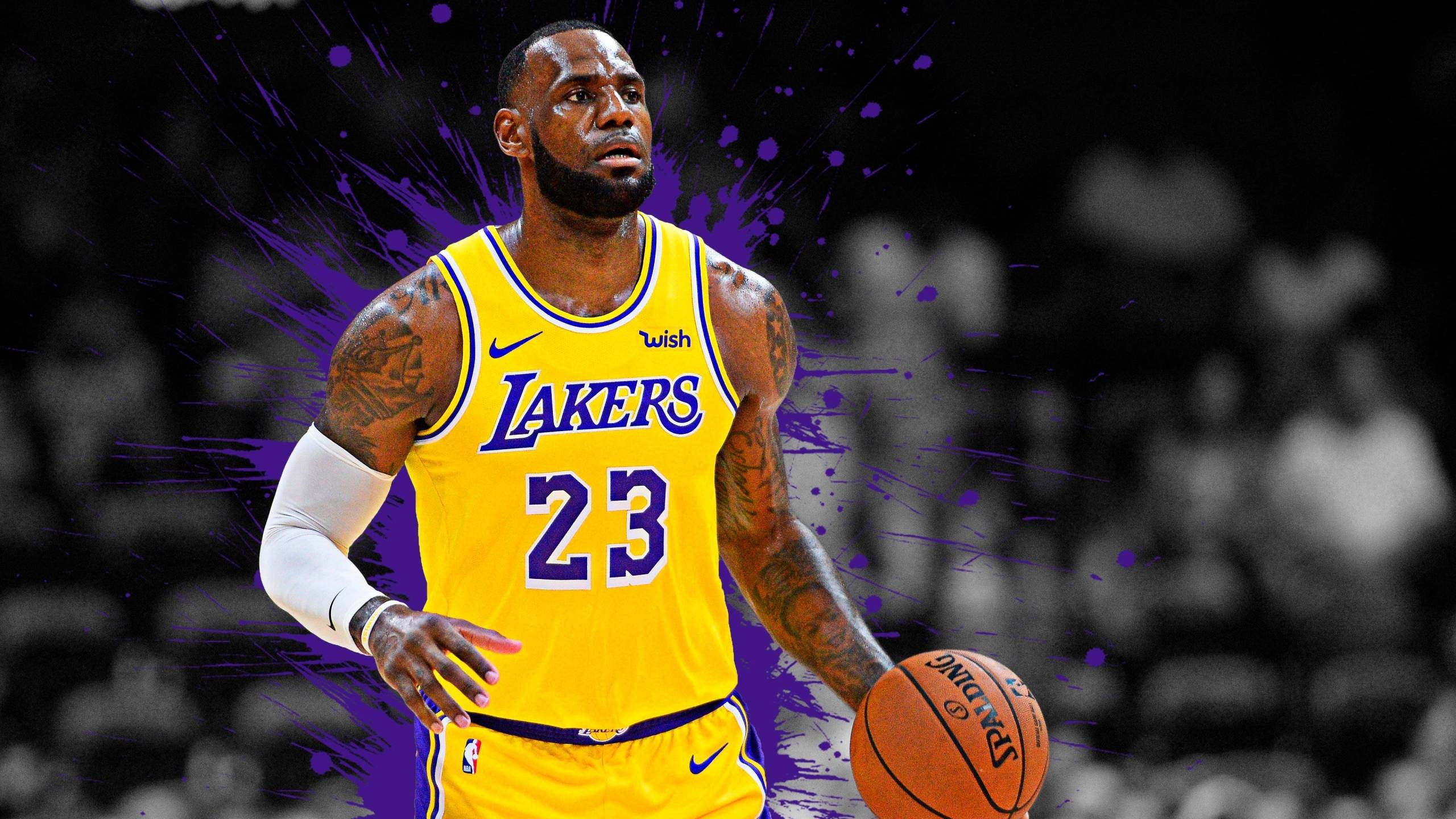 2560x1440 LeBron James 23 NBA 1440P Resolution Wallpaper, HD Sports 4K Wallpaper, Image, Photo and Background