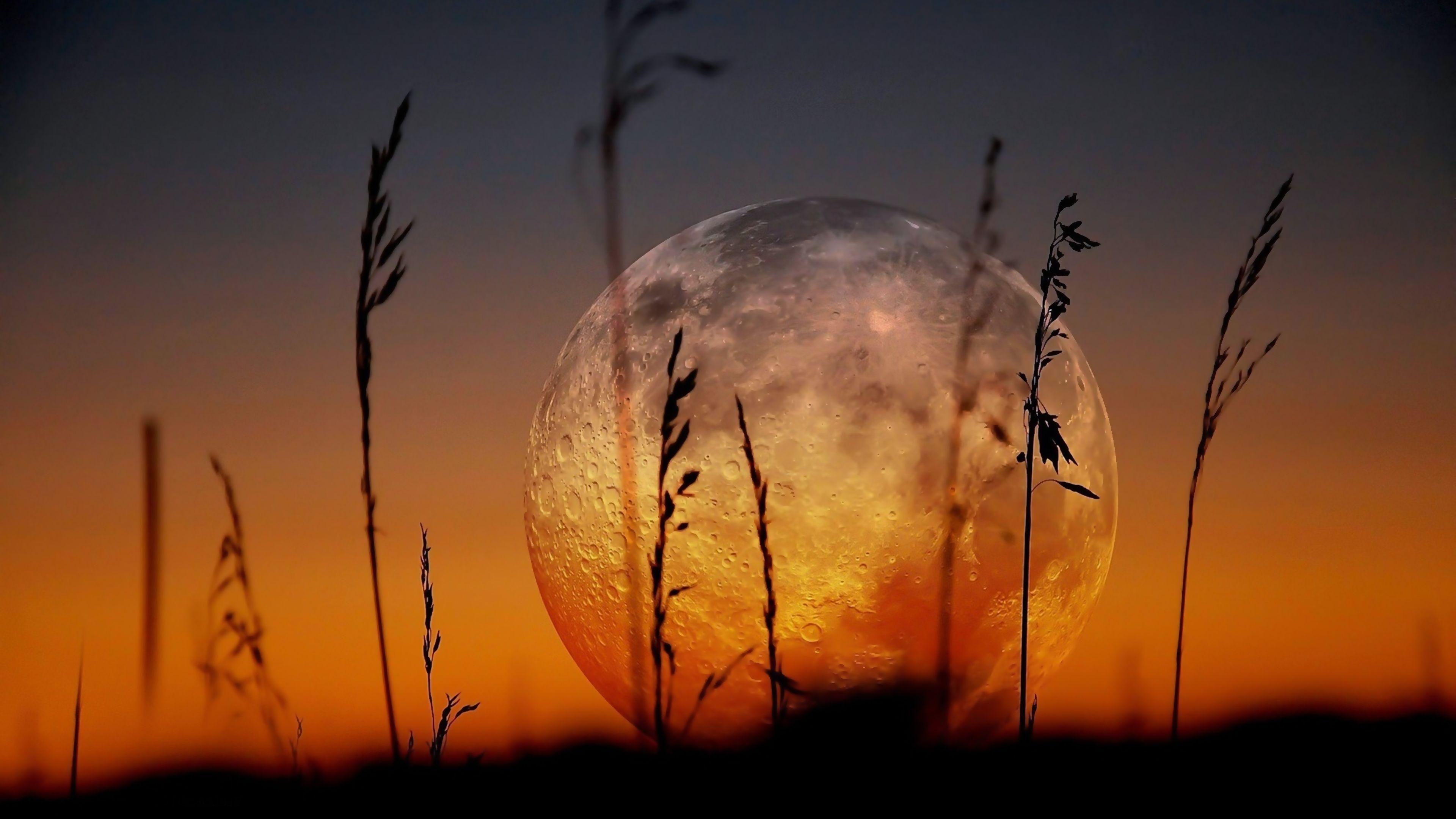 Moon Landscape Wallpapers - Top Free Moon Landscape Backgrounds ...