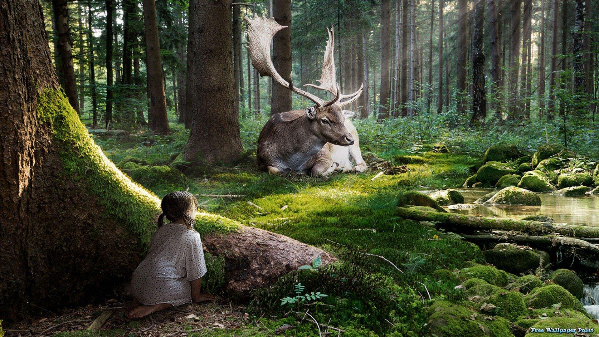 1920x1080 Moose Wallpaper