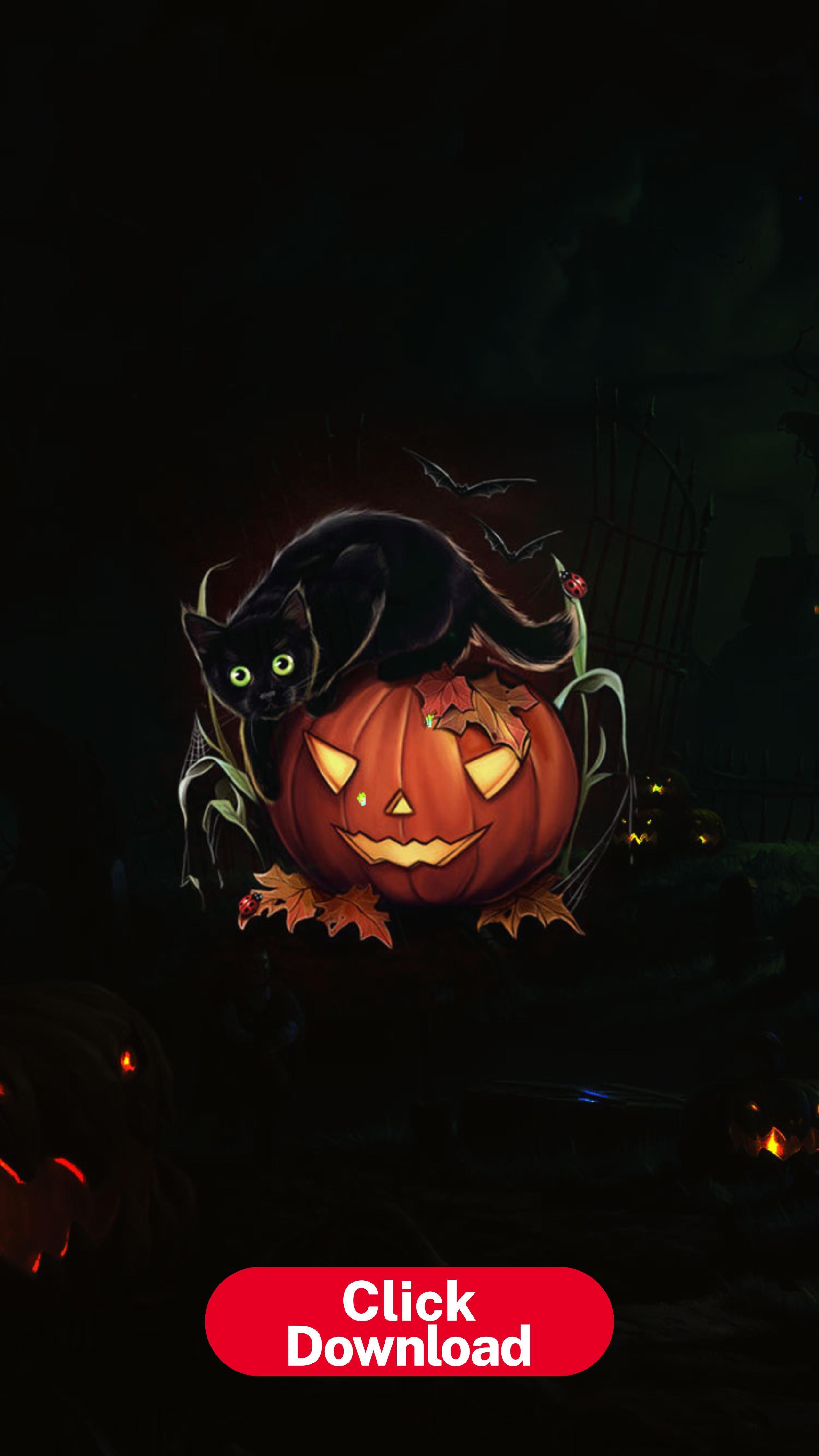 2558x4549 Cat. Phone Wallapers HD Download. Black cat halloween, Free halloween, Halloween cat