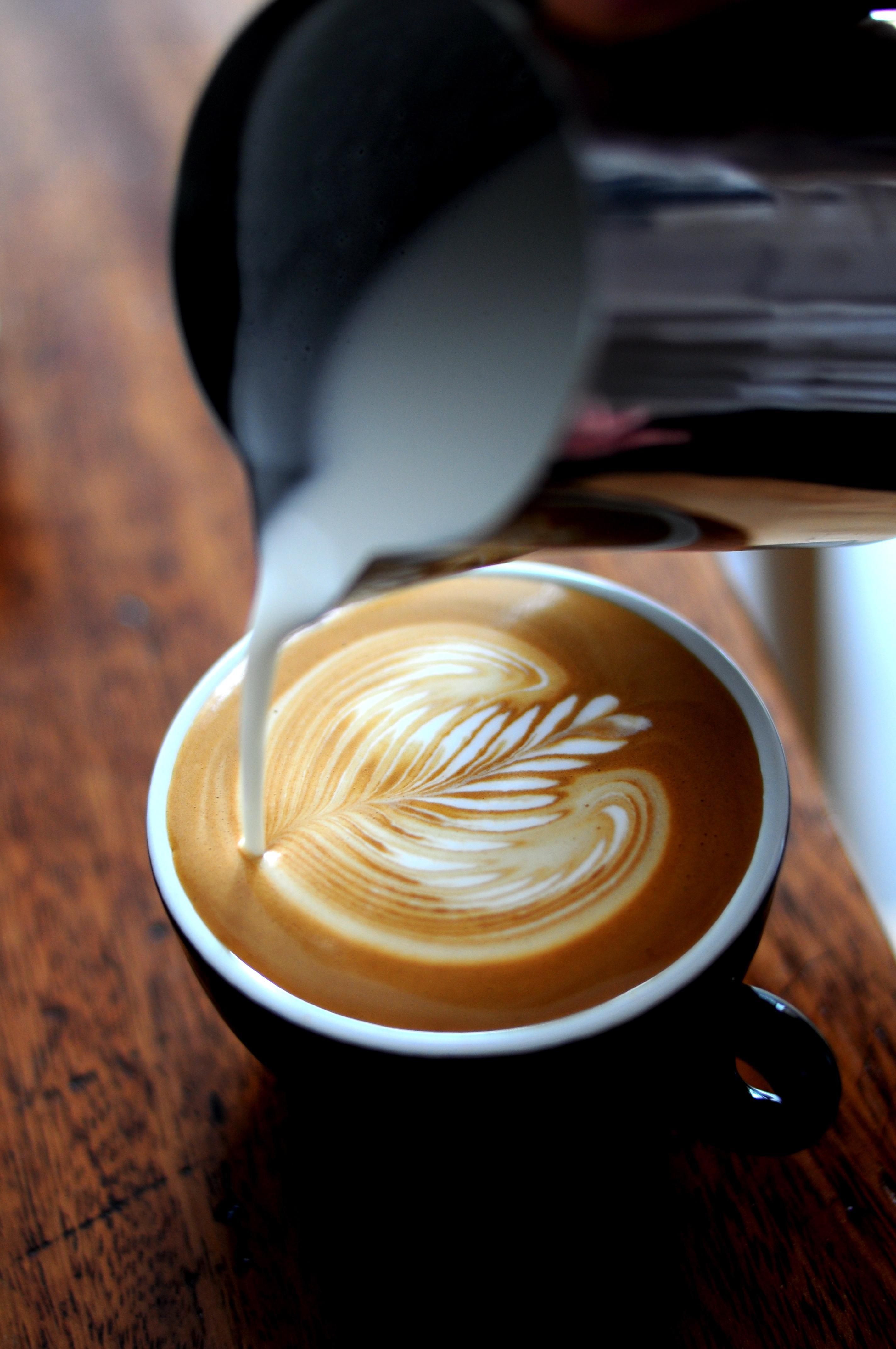 2848x4288 Coffee Cappuccino Espresso Beverage Cup Hot Morning