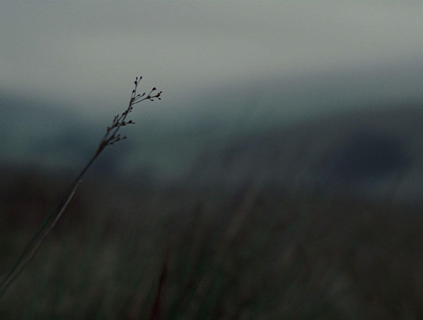 1364x1033 Wuthering Heights. Wuthering heights, Dark aesthetic, Aesthetic