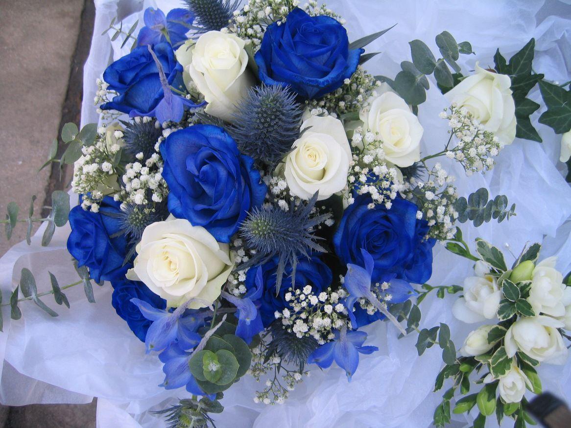 Royal Blue Flowers HD Wallpapers - Top Free Royal Blue Flowers HD