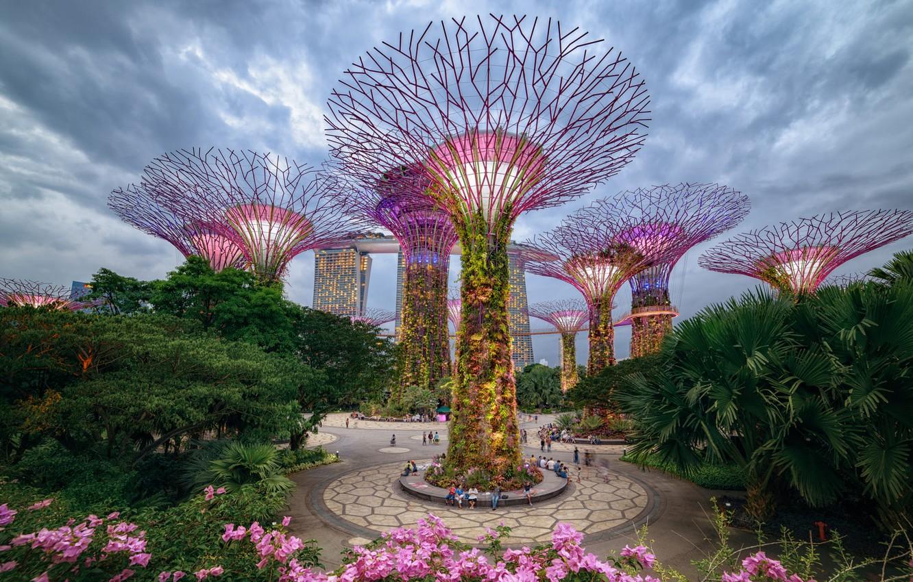 1332x850 Wallpaper trees, the city, Park, Singapore, Gardens by the Bay, Supertree Grove image for desktop, section город