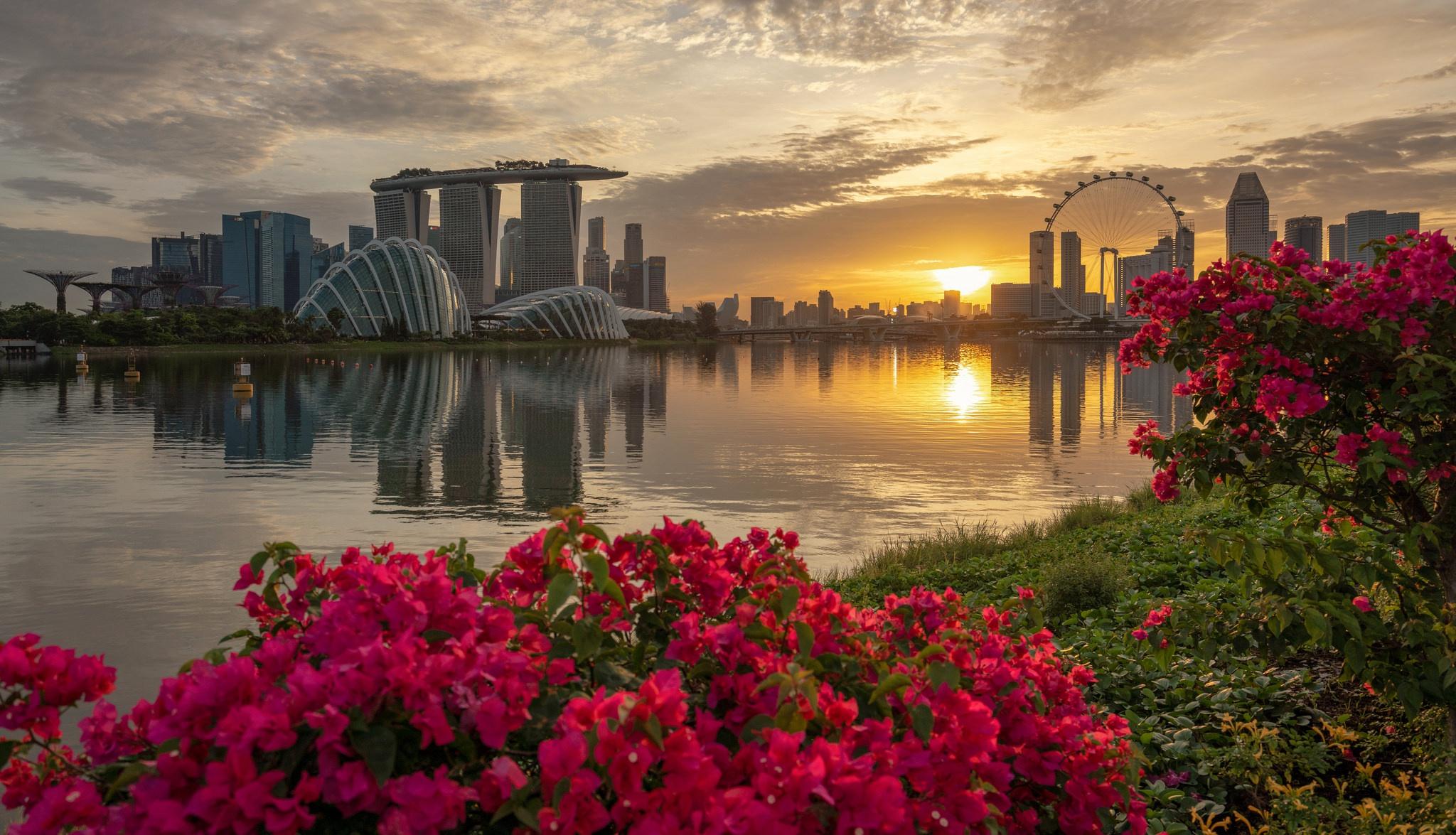 2048x1175 City, Flower, Building, Singapore, Reflection, Sunrise wallpaper