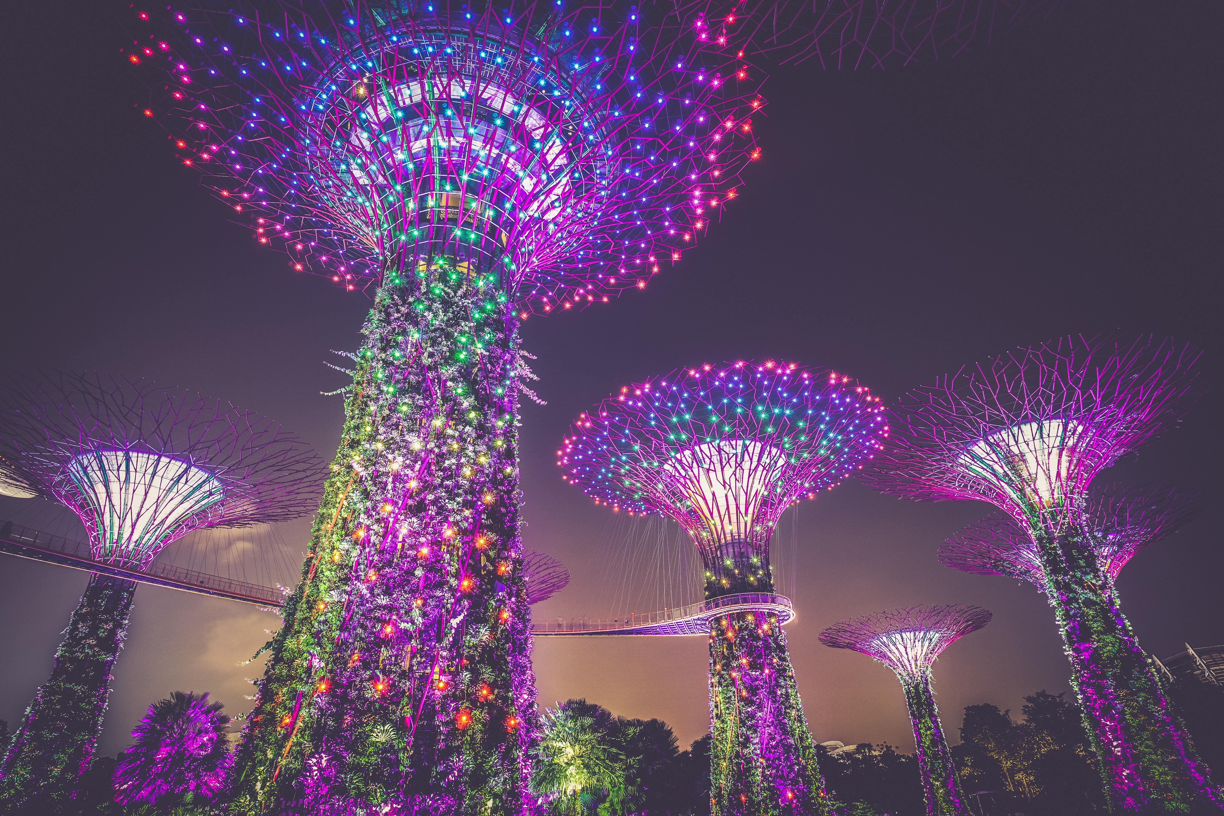 4242x2828 Free Image : night, flower, park, christmas decoration, fireworks, gardens by the bay, tourist attraction, singapore, christmas lights 4242x2828
