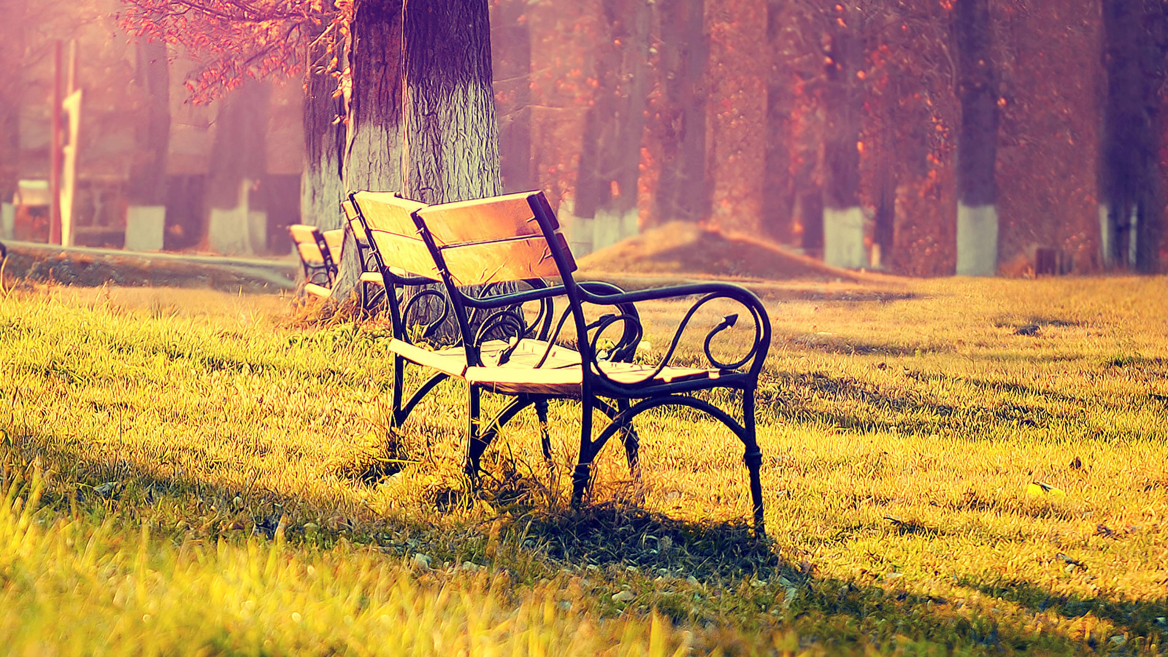 3840x2160 Wallpaper Fall Park Chair Lonely Nature