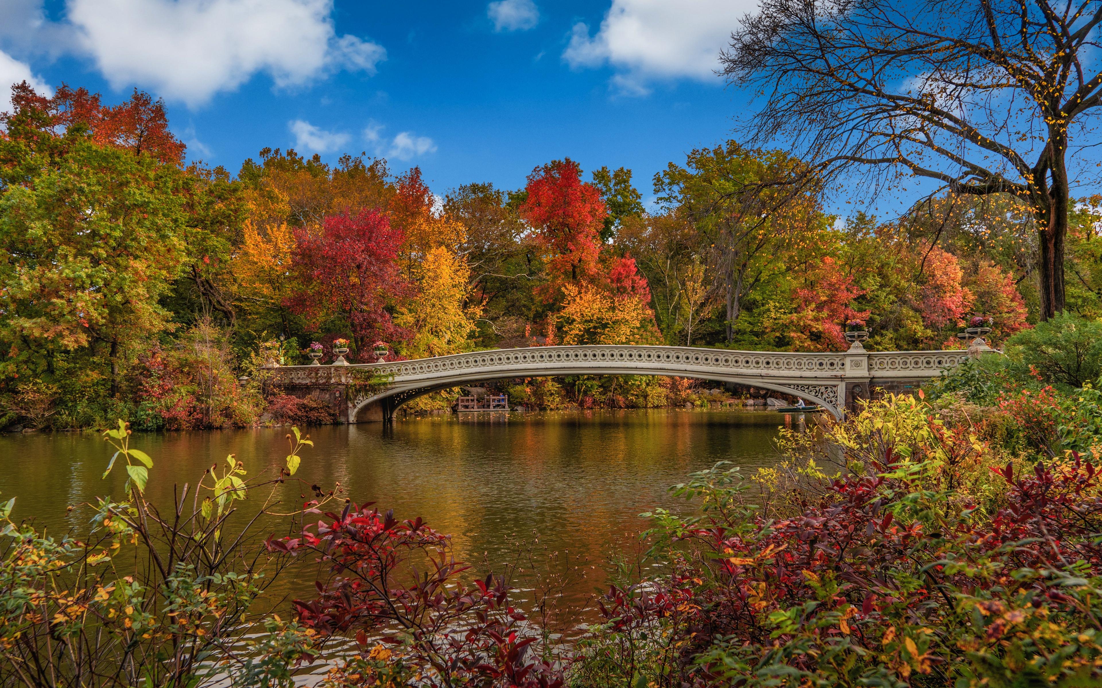 3840x2400 Fall 4k Ultra HD Wallpaper