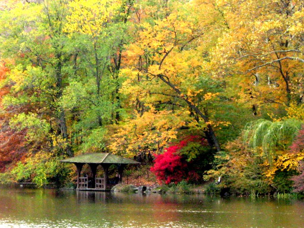 1024x768 Free download Fall Colors In Central Park Background Image Wallpaper or Texture [1024x768] for your Desktop, Mobile & Tablet. Explore Central Park Background. Central Park Spring Wallpaper, NYC Spring