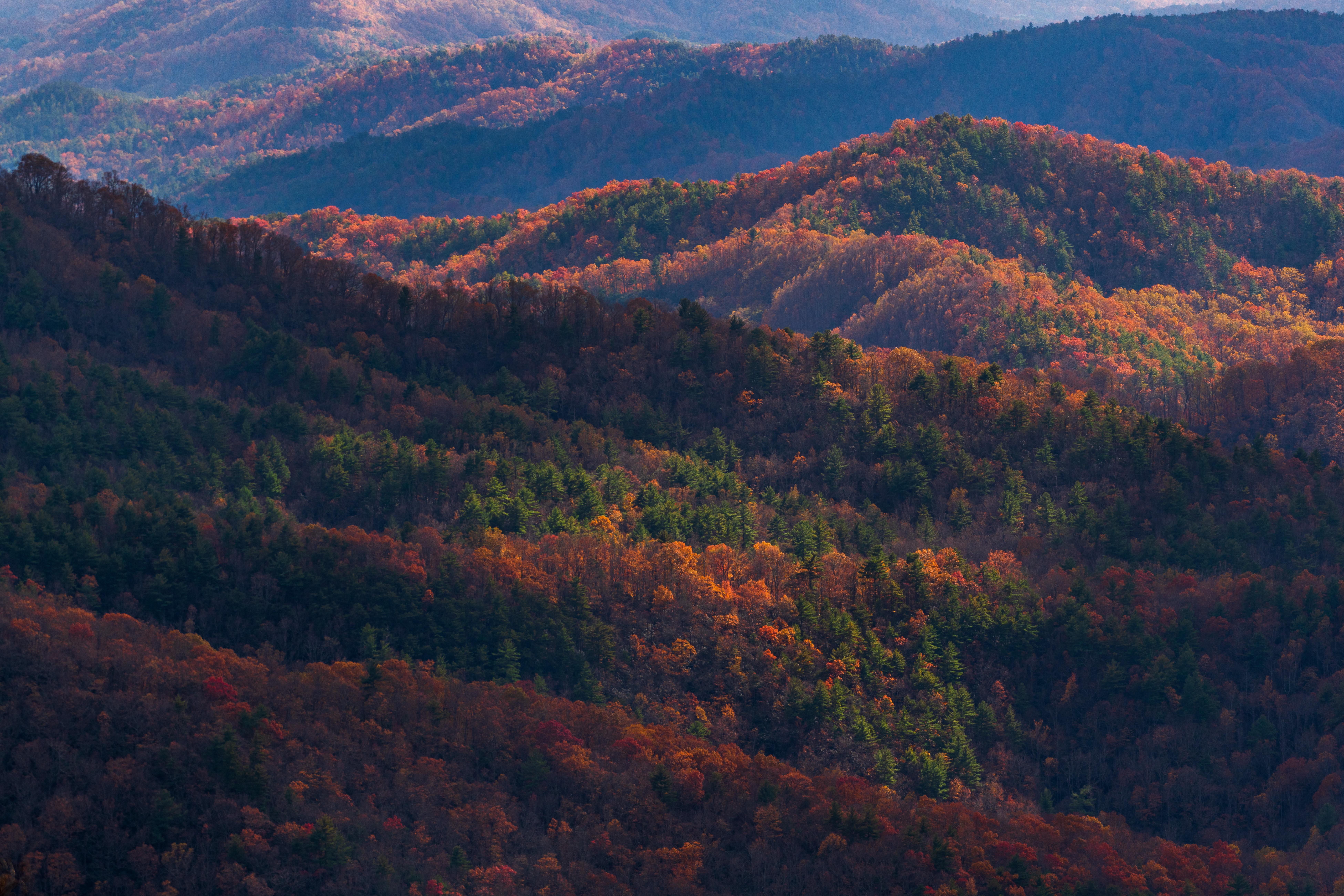 7804x5202 Blue Ridge Mountains In North Carolina 8k, HD Nature, 4k Wallpaper, Image, Background, Photo and Picture