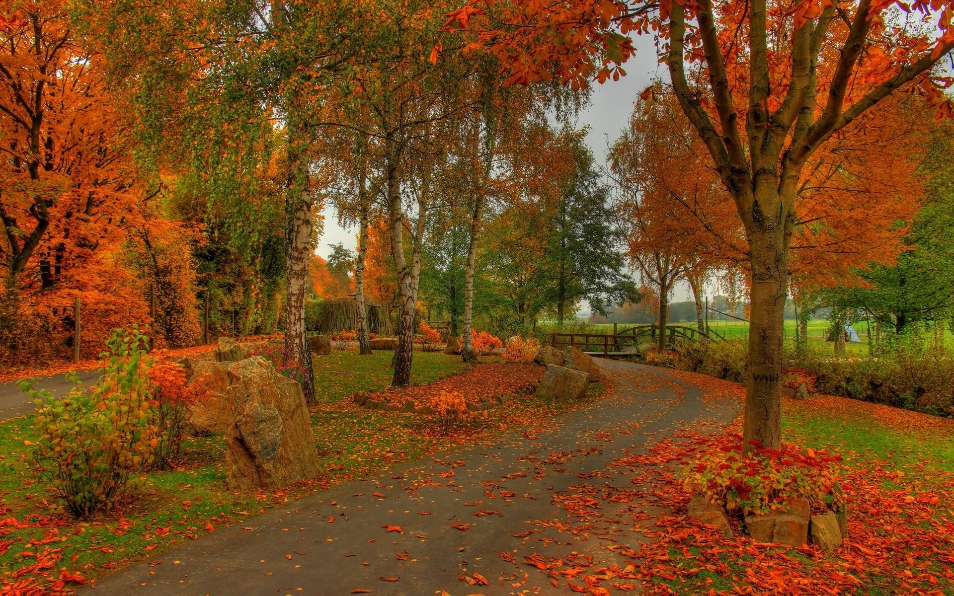 Fall Park Wallpapers - Top Free Fall Park Backgrounds - WallpaperAccess
