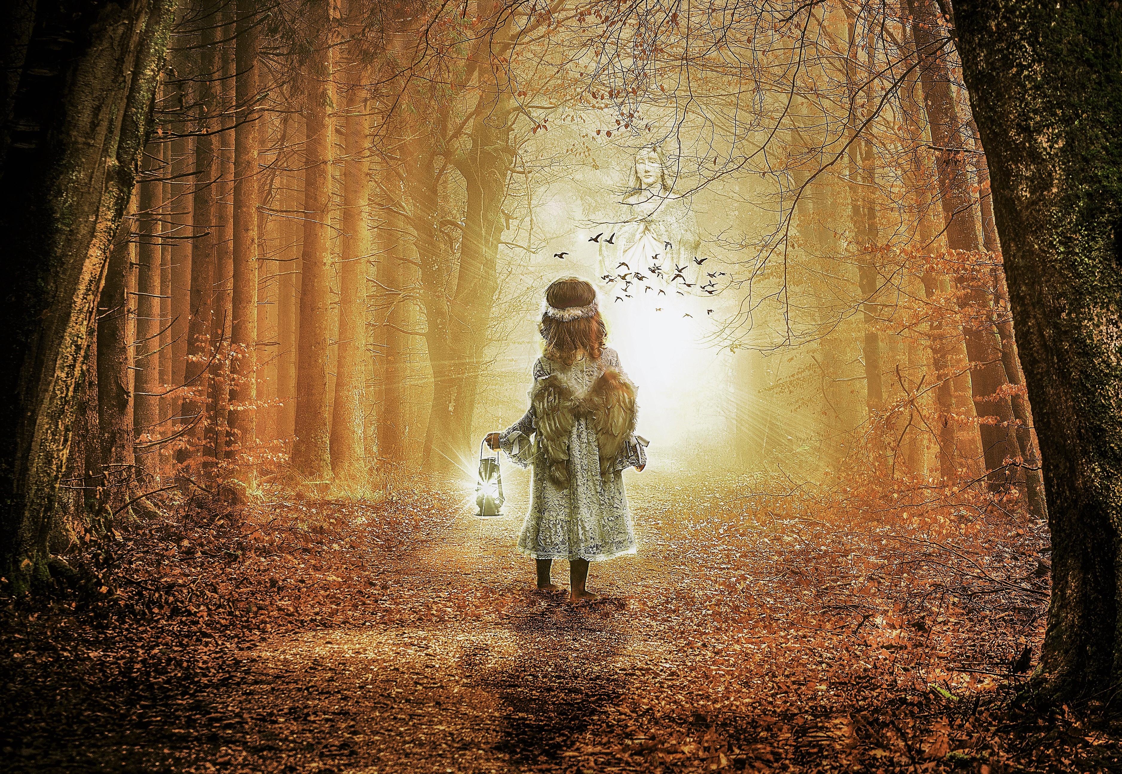 3755x2590 Fall, Angel, Forest, Fantasy, Little Girl, Wings wallpaper HD Wallpaper