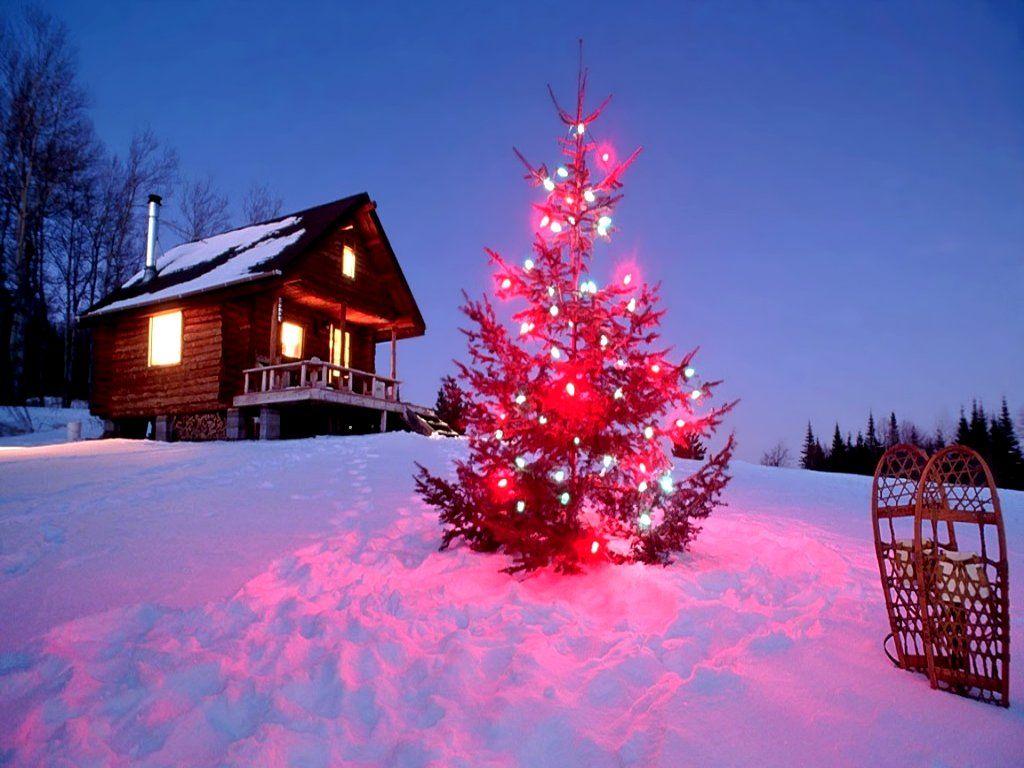 1024x768 christmas cabins. Christmas tree wallpaper, Christmas tree background, Christmas desktop