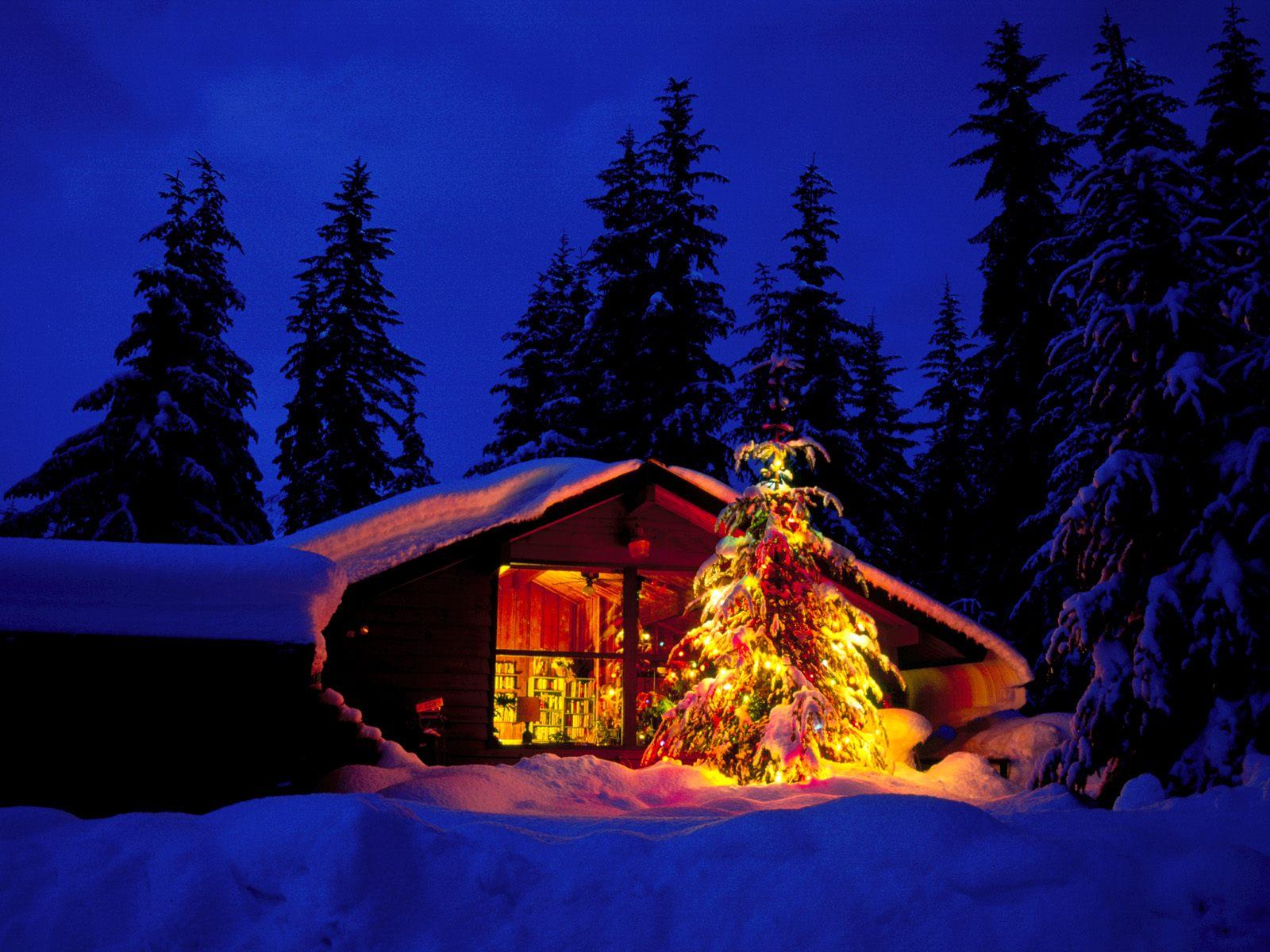 1600x1200 Christmas Cabin And Tree In Deep Snow