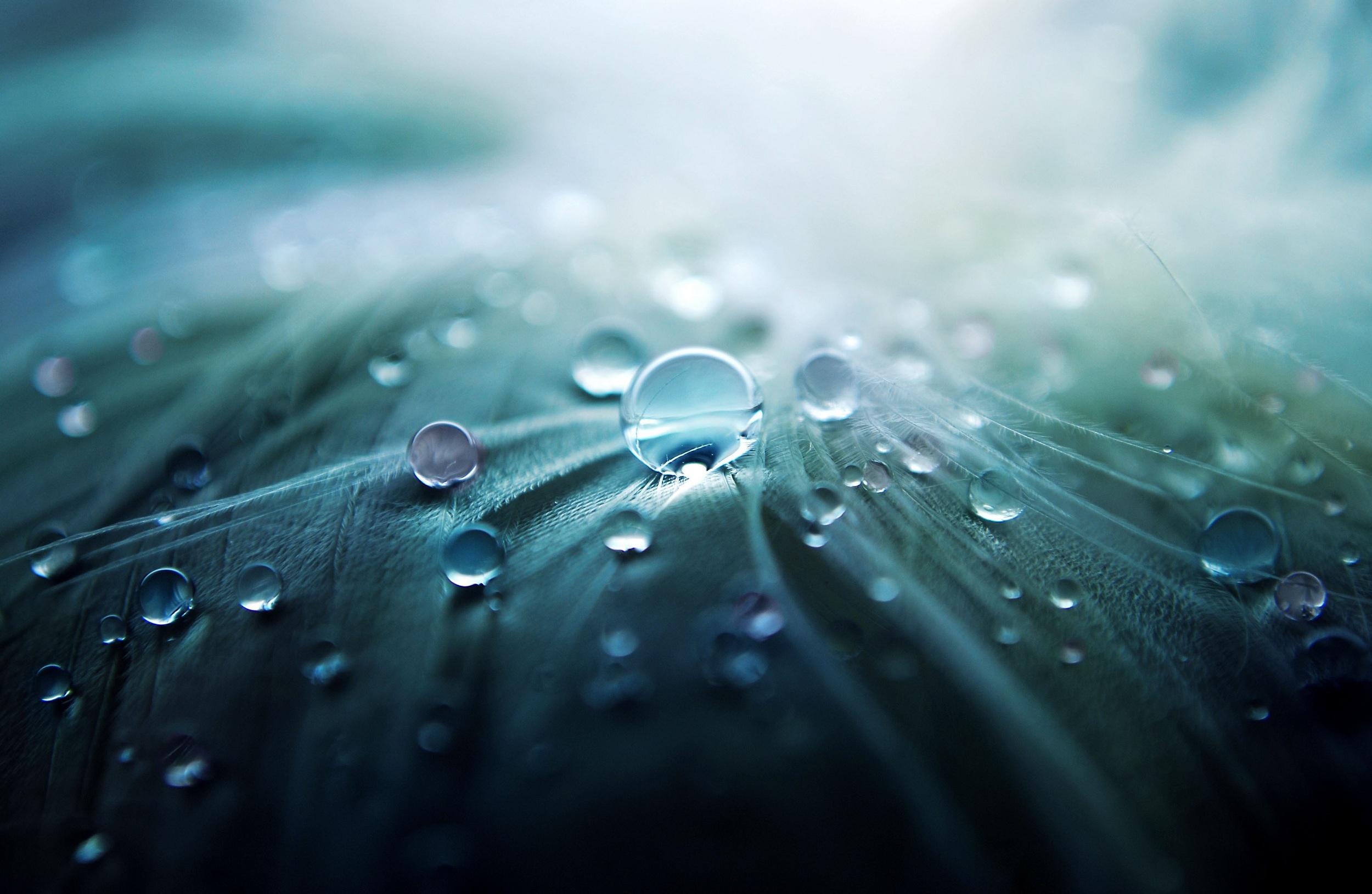 2500x1630 Free download Photography Desktop Background Best 4K Ultra HD 750909 Ssoflx [2500x1630] for your Desktop, Mobile & Tablet. Explore Best 4K Wallpaper WebsitesX2160 Wallpaper, 4K HD Wallpaper, 4K Wallpaper Nature