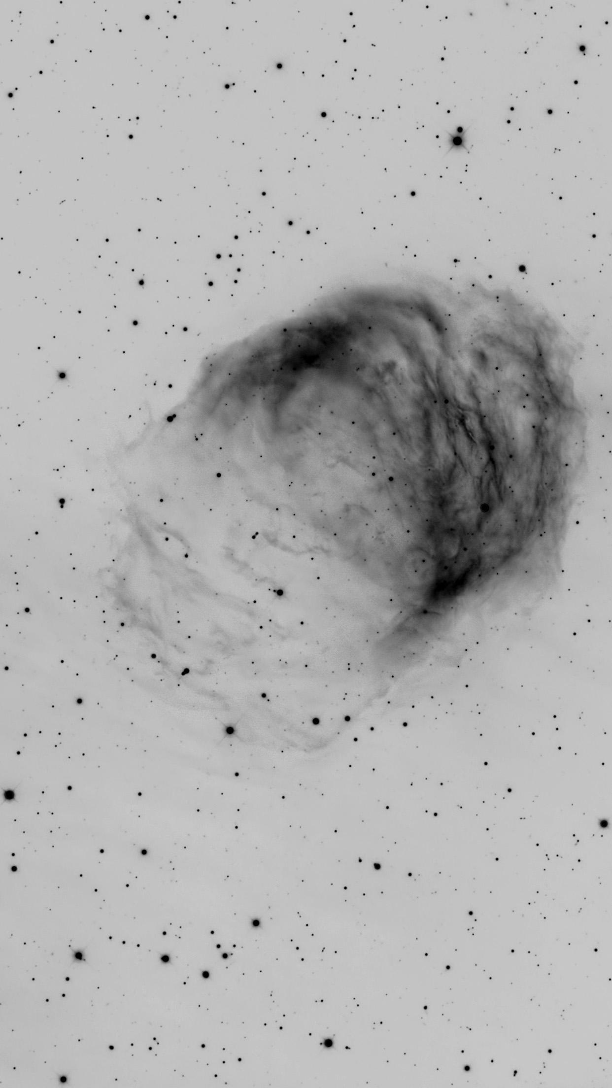 1242x2208 Space Medusa Crawford Galaxy Star White Bw Wallpaper