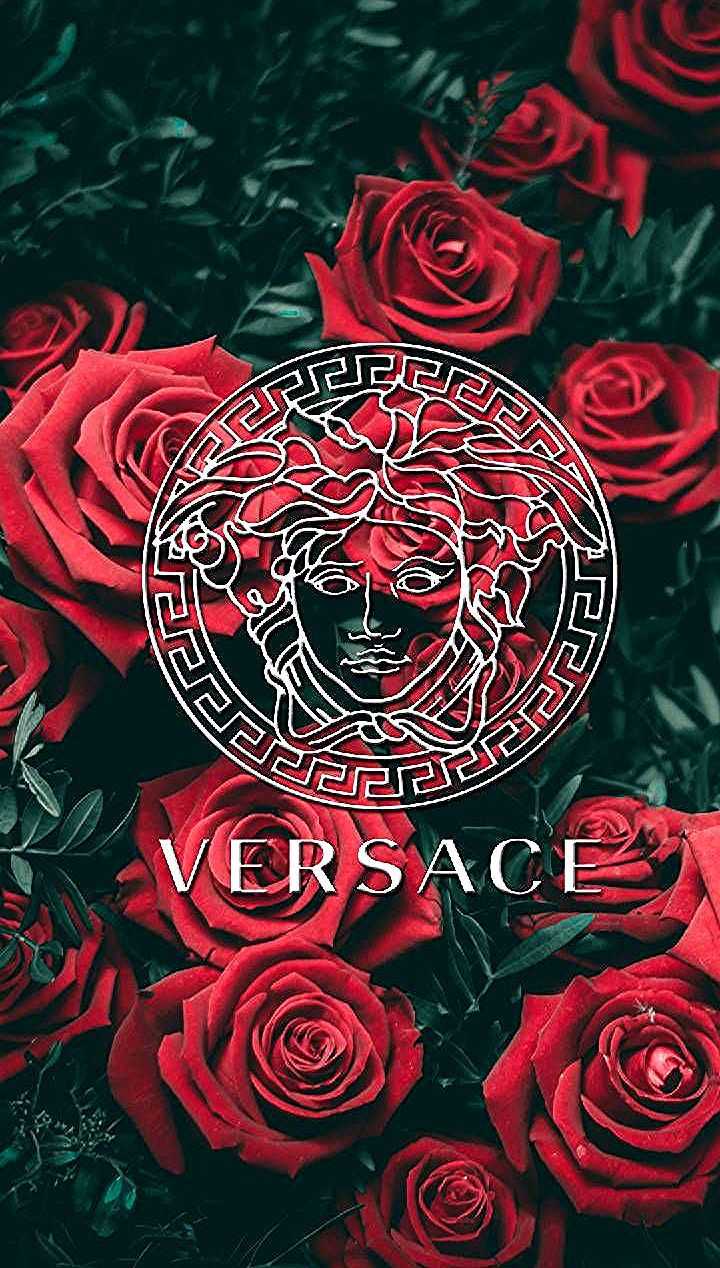 720x1268 iPhone Versace Wallpaper Free HD Wallpaper