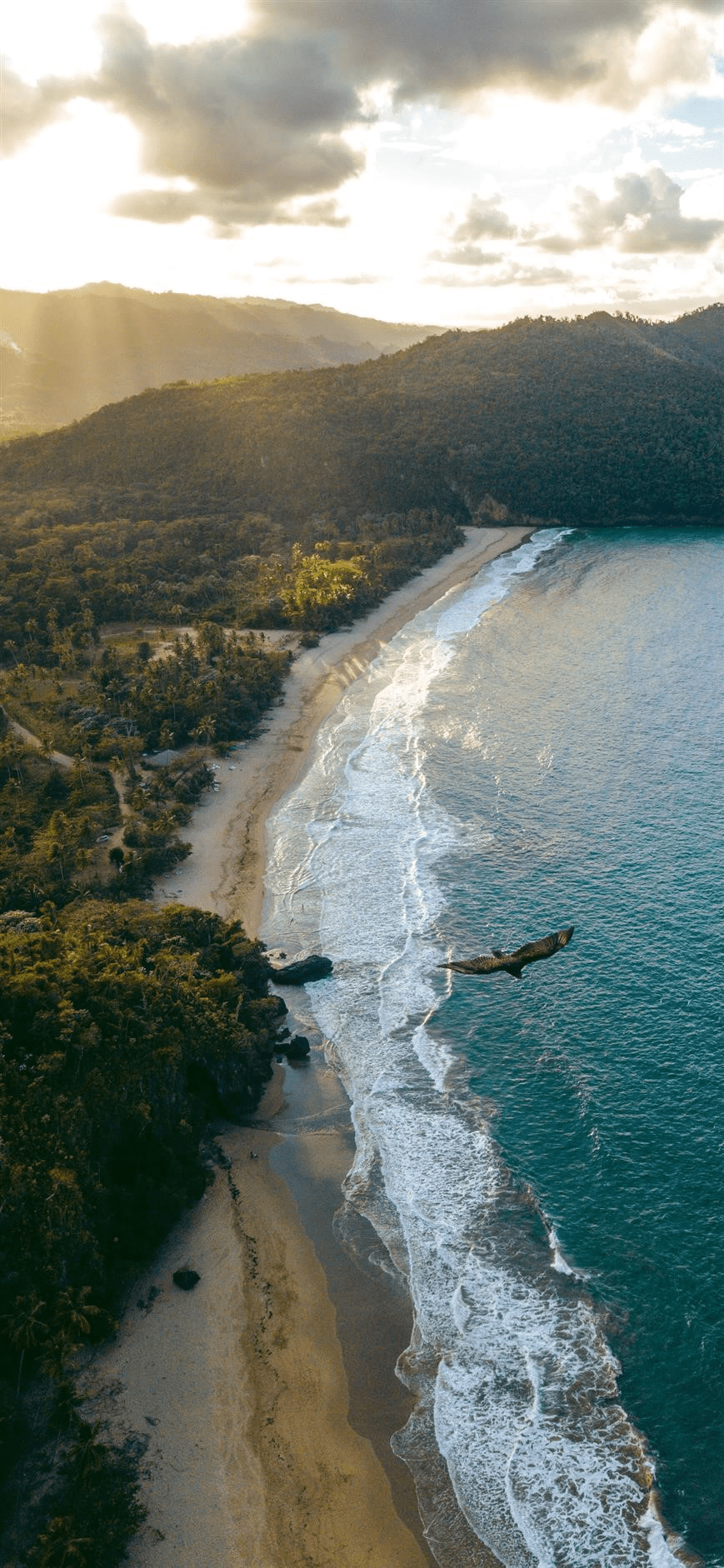 869x1882 Dominican Republic Wallpaper art: Free HD Download