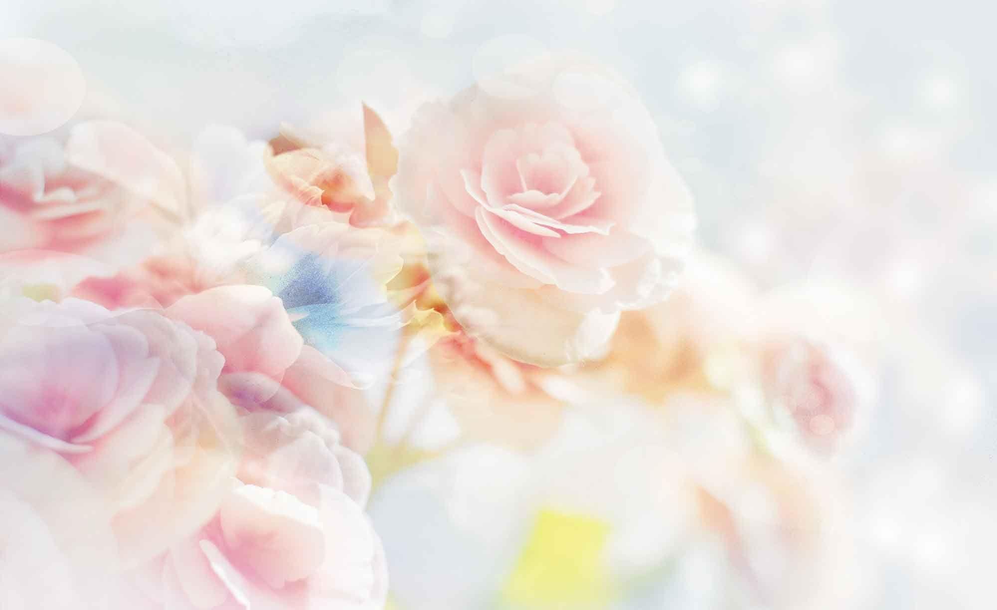 Pastel Floral Wallpapers - Top Free Pastel Floral Backgrounds