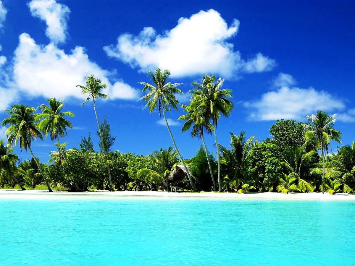 1200x900 Dominican Republic wallpaper HD. Download Free background