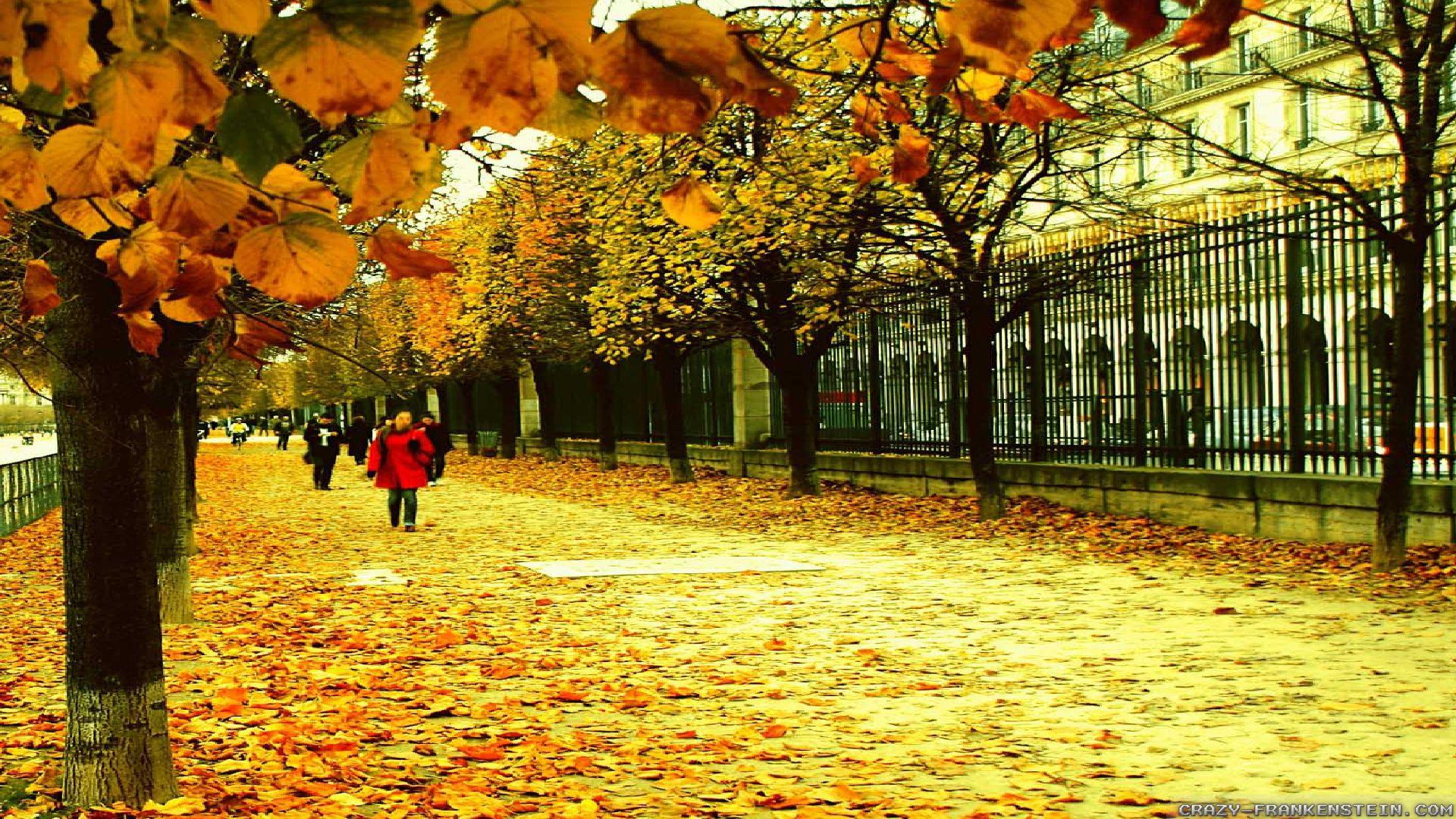 1920x1080 Paris Street Wallpaper [1920 x 1080]