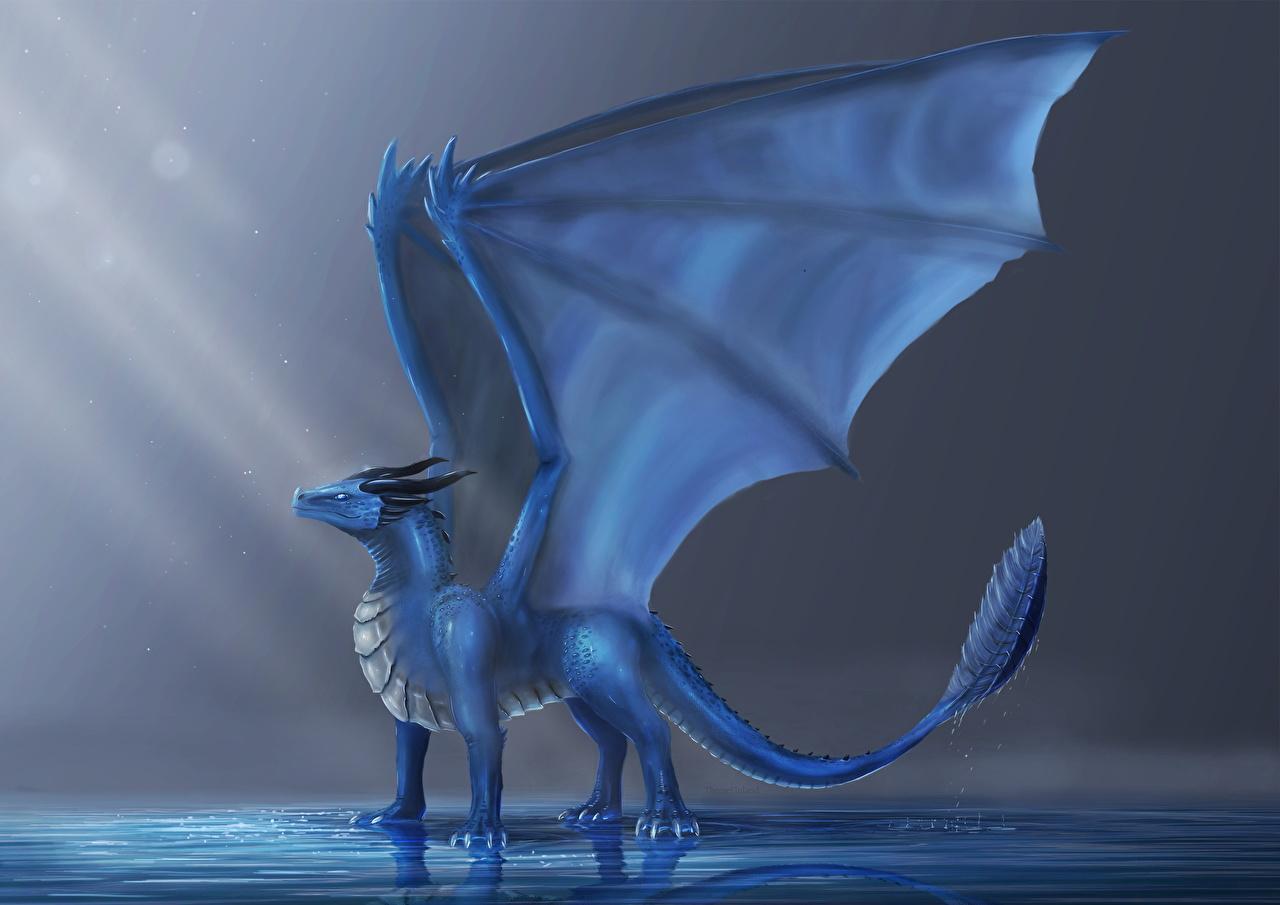 1280x905 Photo dragon Wings Fantasy Light Blue