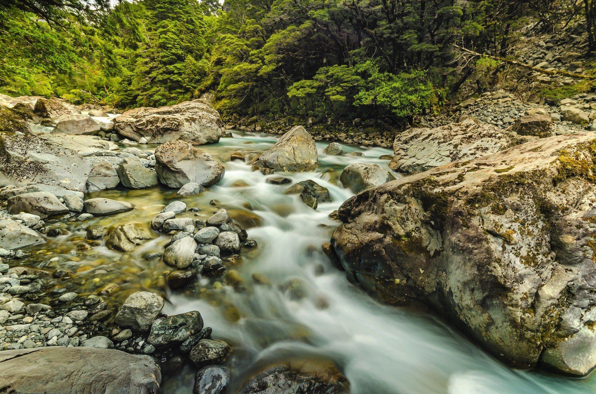 2000x1324 forest, tablet, mobile background, stones, milford, view, hd landscape
