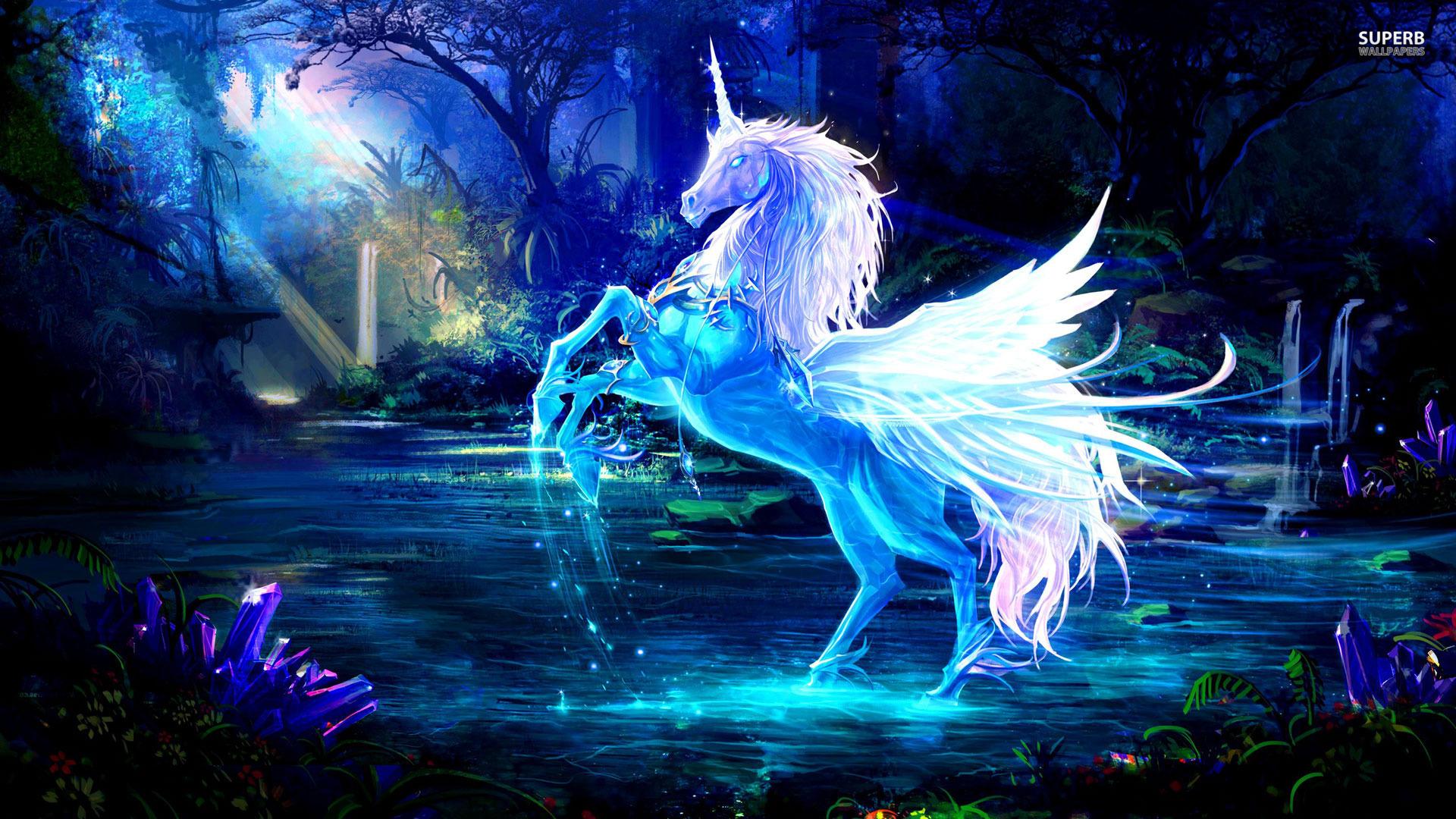 1920x1080 Unicorn Picture wallpaperx1080