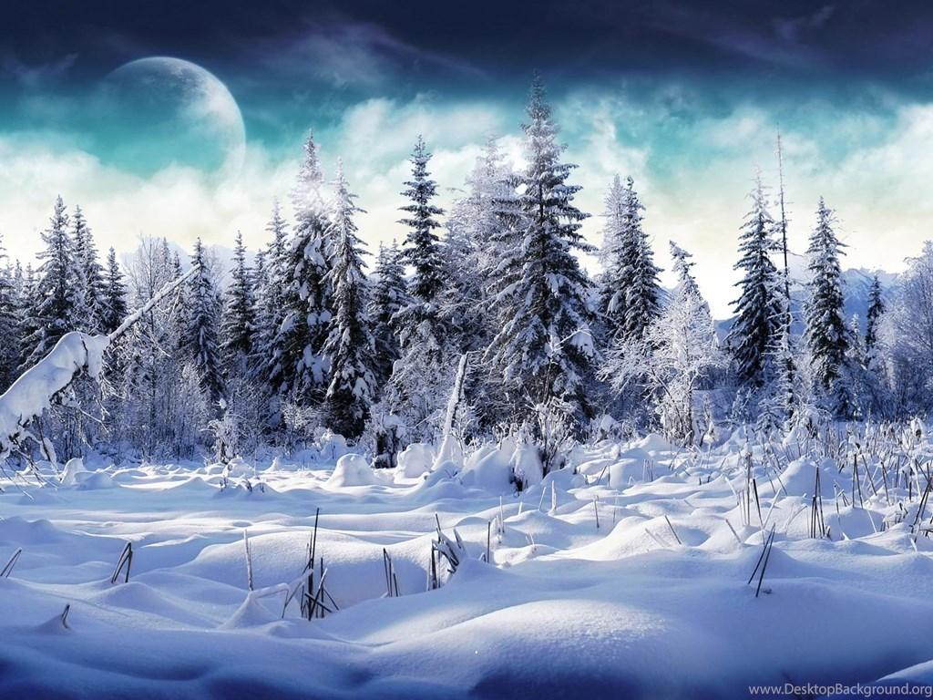 1024x768 Desktop Wallpaper · Gallery · Nature · Winter Snowy Forest Desktop Background