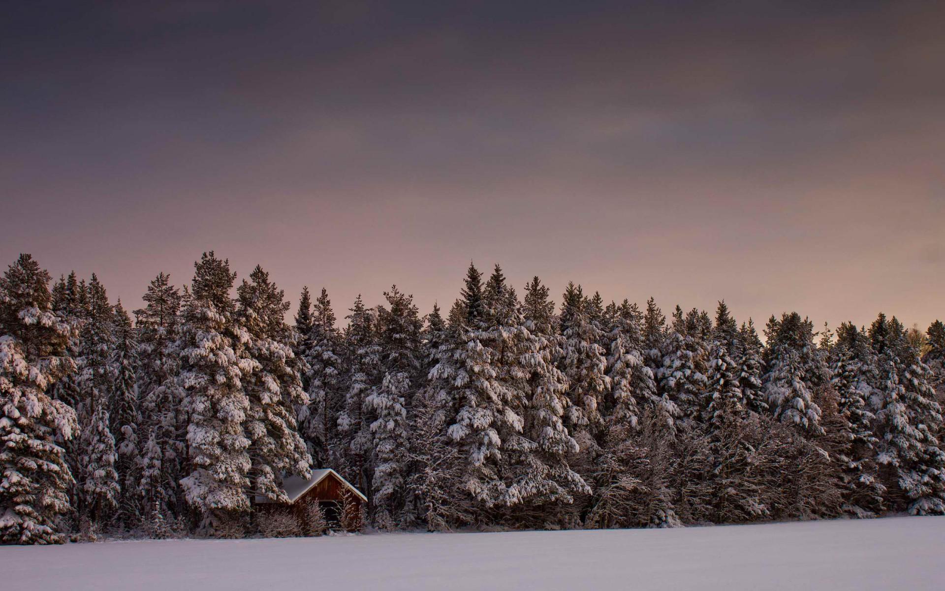 1920x1200 Winter Forest Cabin Snowy Sky desktop PC and Mac wallpaper