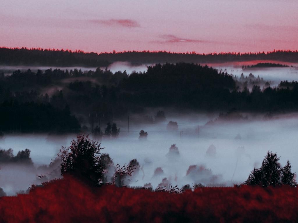1024x768 Crimson Forest