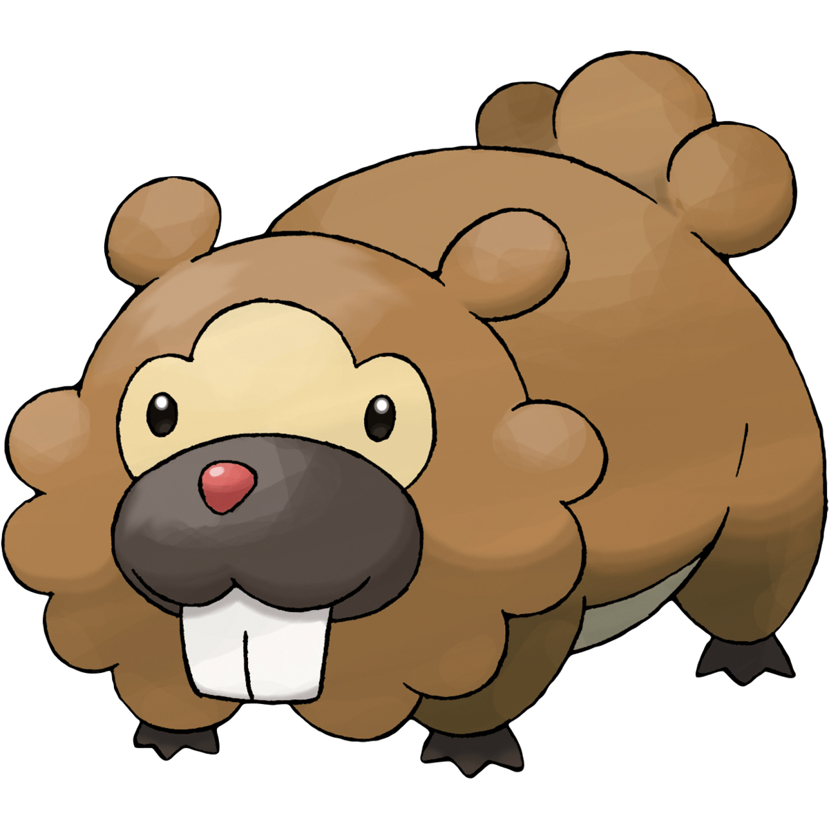 1200x1200 Bidoof (Pokémon), The Community Driven Pokémon Encyclopedia