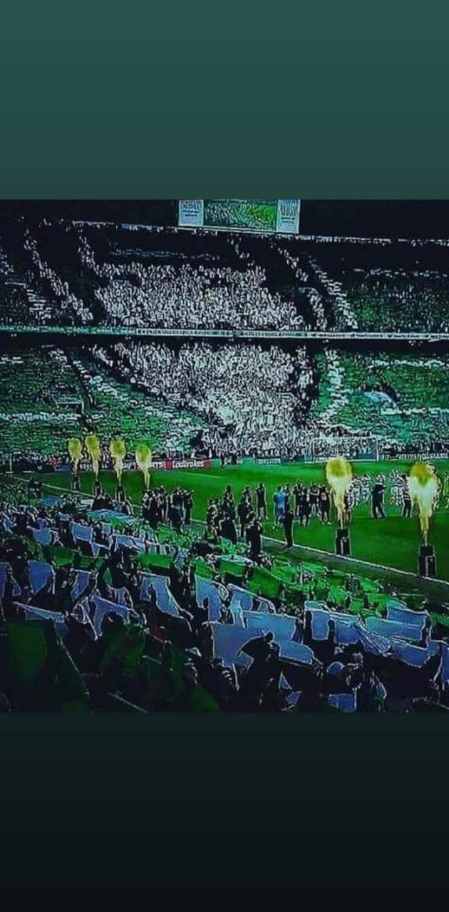 630x1280 Celtic paradise wallpaper