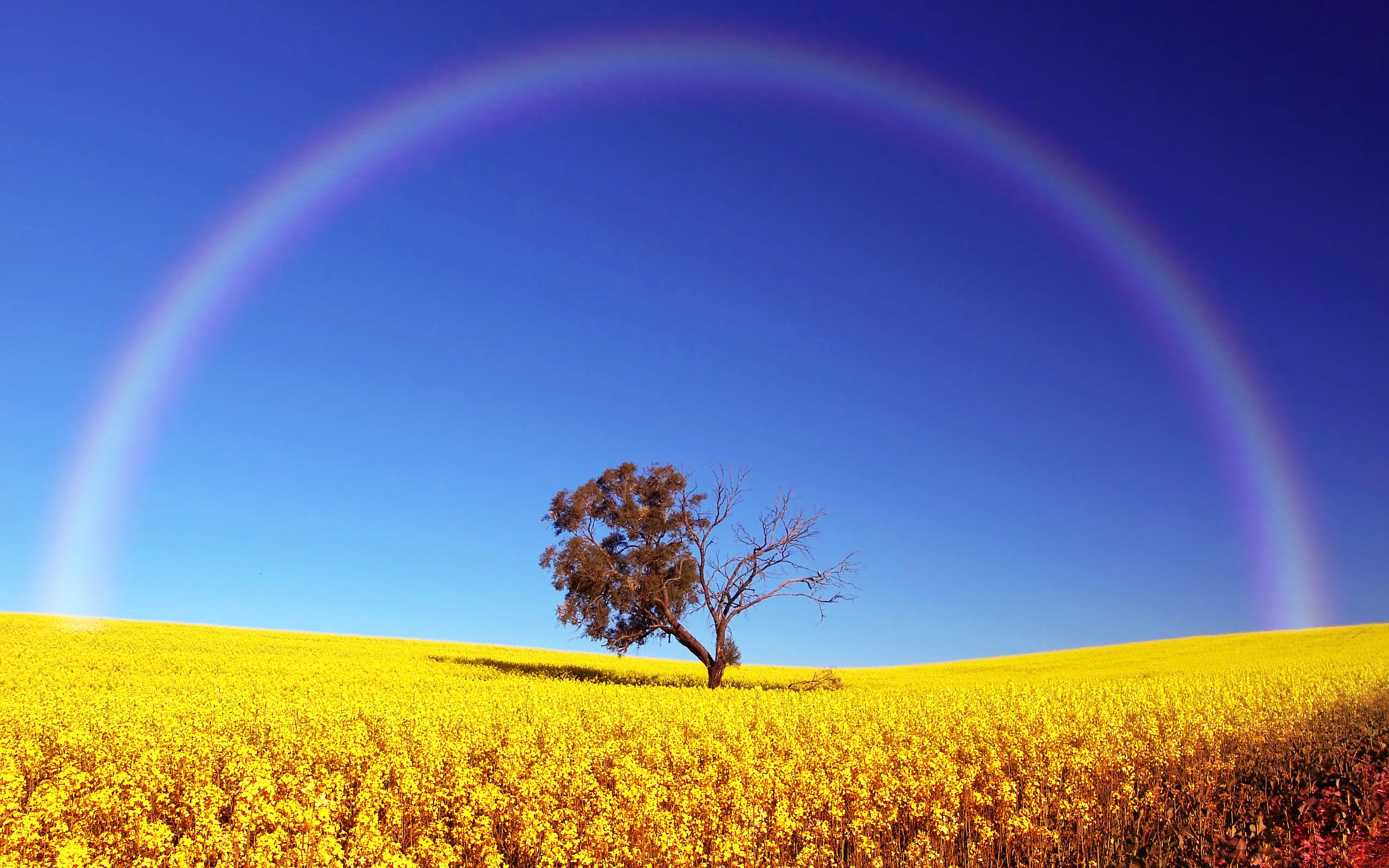 2560x1600 Rainbow HD Wallpaper and Background Image