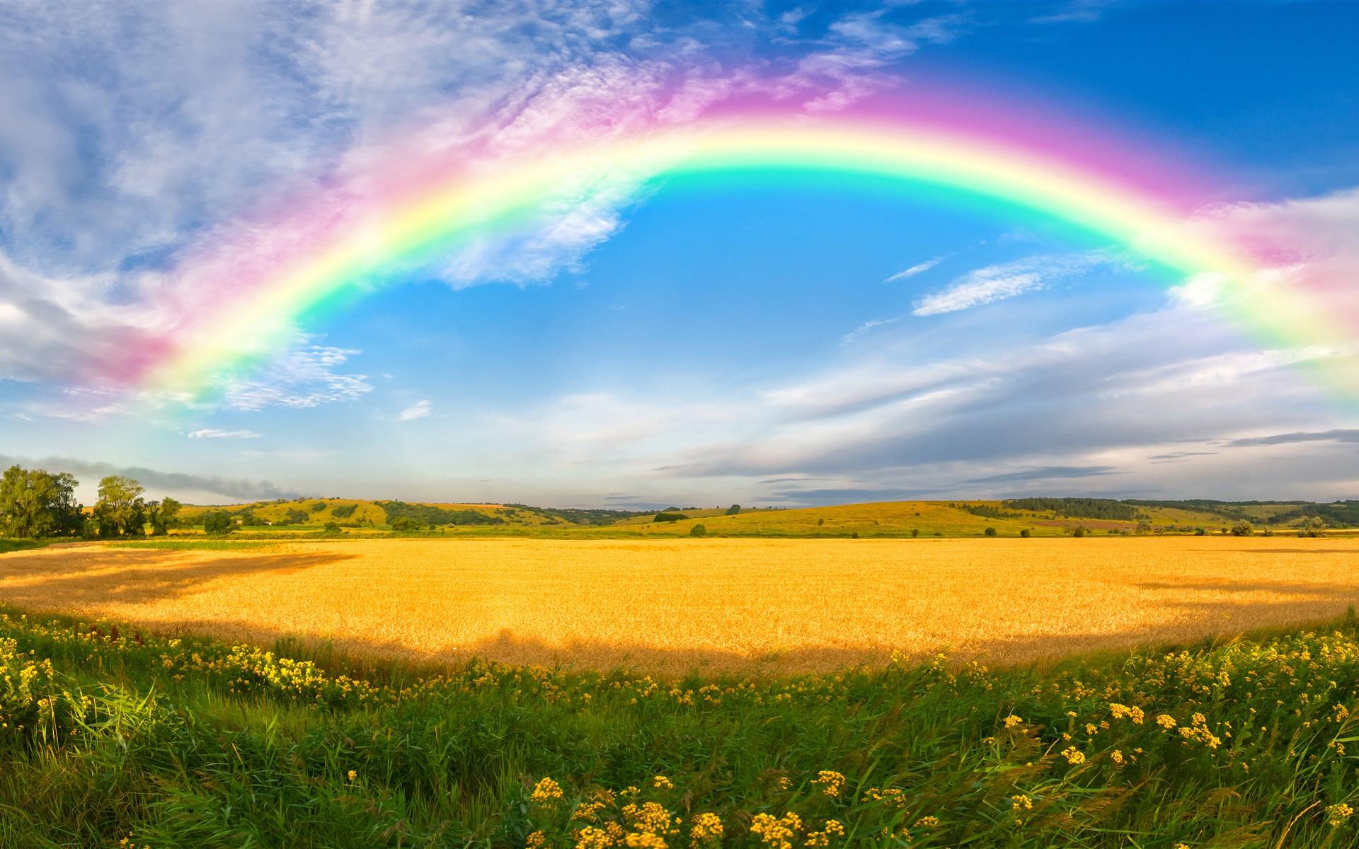 1920x1200 Rainbow, Sky, Field, Earth, Summer, Wheat wallpaper