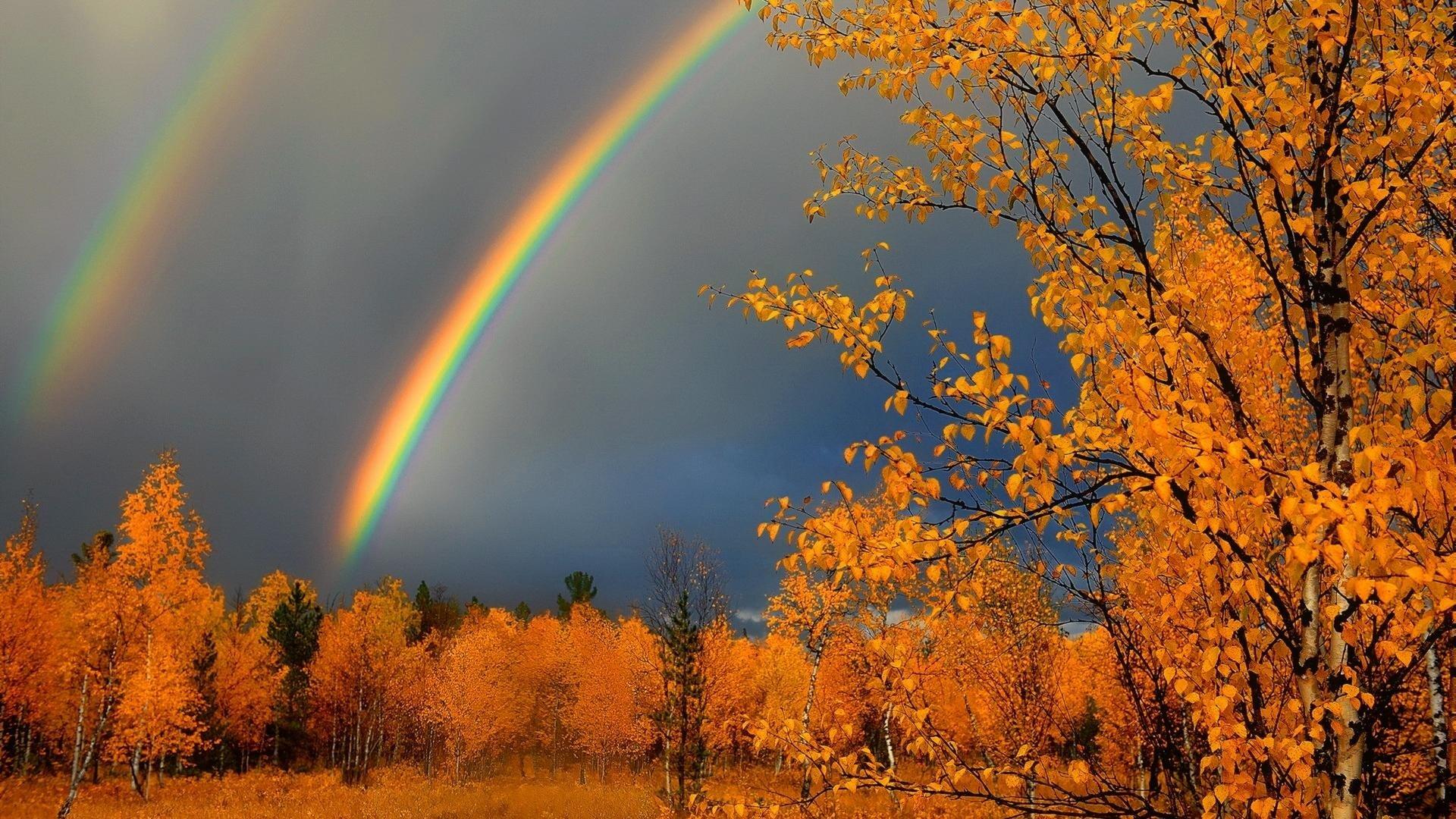 1920x1080 Title Autumn Rainbow Earth Rainbow Sky Dark Image Beautiful HD HD Wallpaper