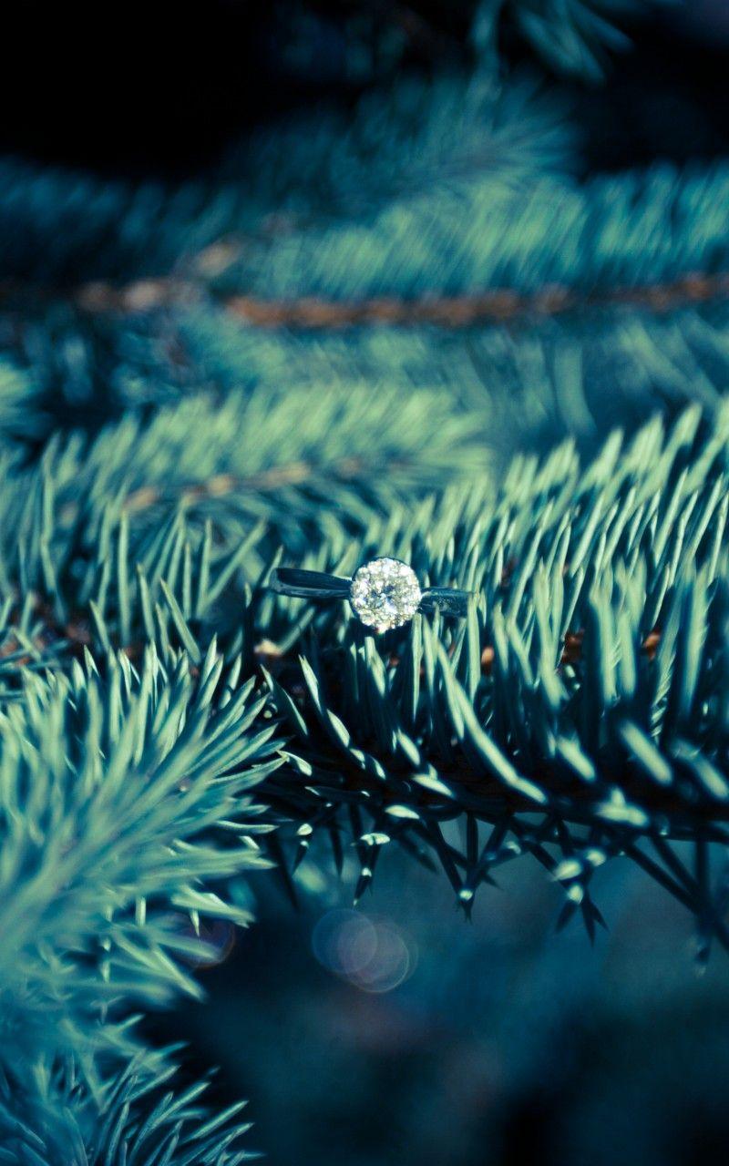 800x1280 Download 800x1280 Spruce, Diamond Ring, Macro, Bokeh Wallpaper