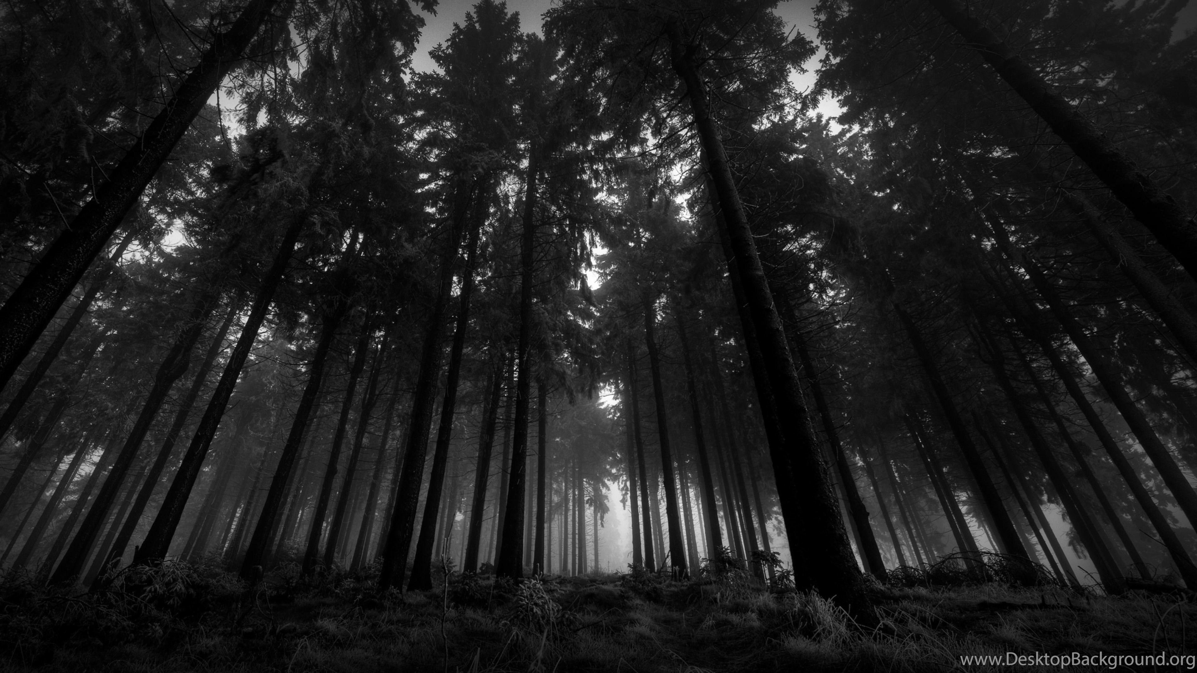 3840x2160 Ultra HD 4K Wood Wallpaper HD, Desktop Background 3840x2400. Desktop Background