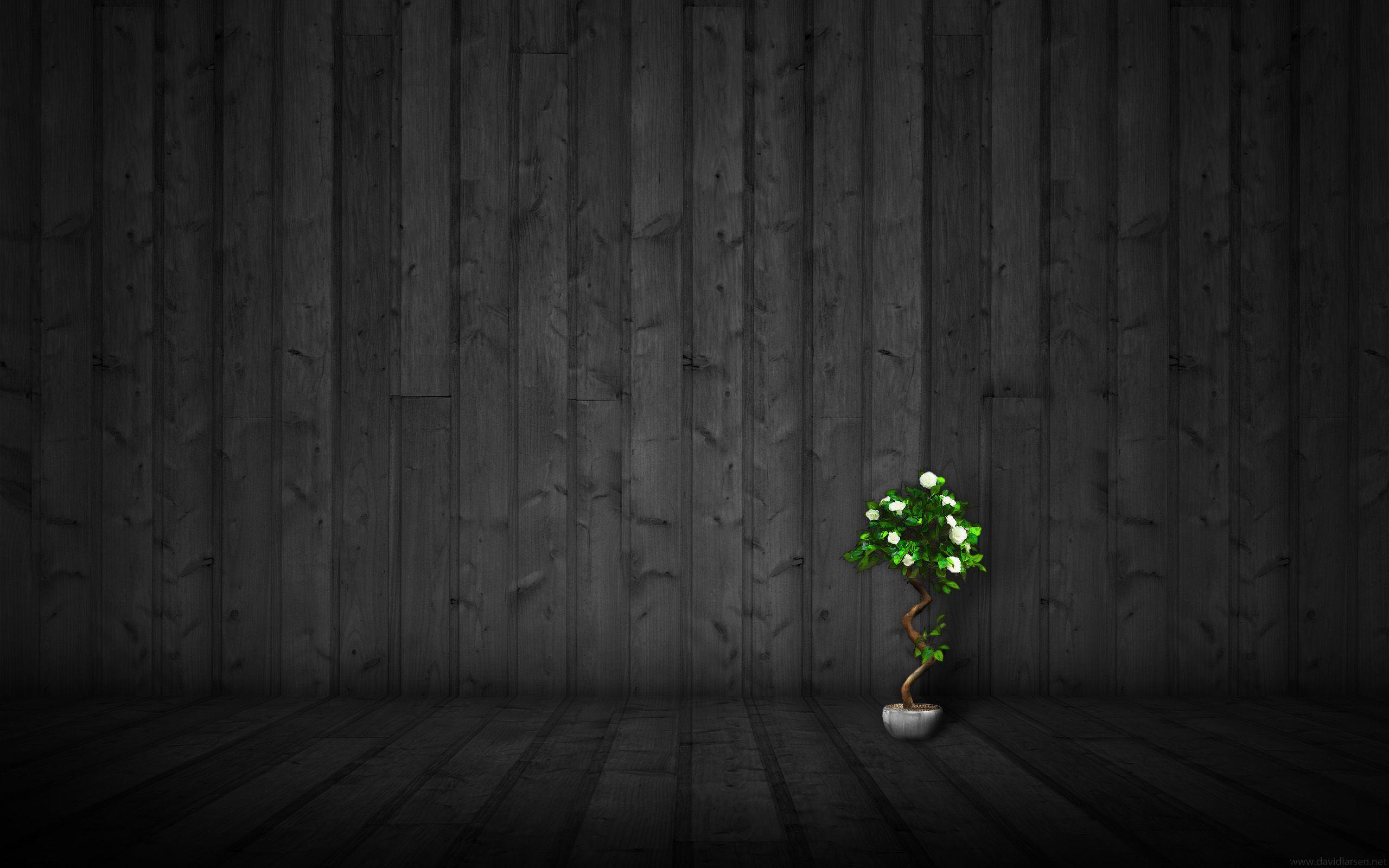 2560x1600 Black Wood Wallpaper